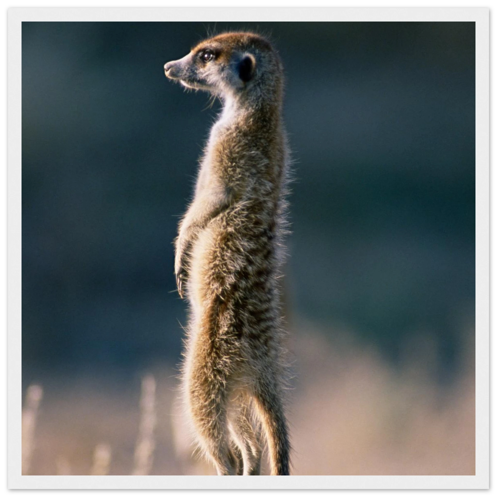 b4446e83-426c-4b7e-b0d0-3225fee4ee30