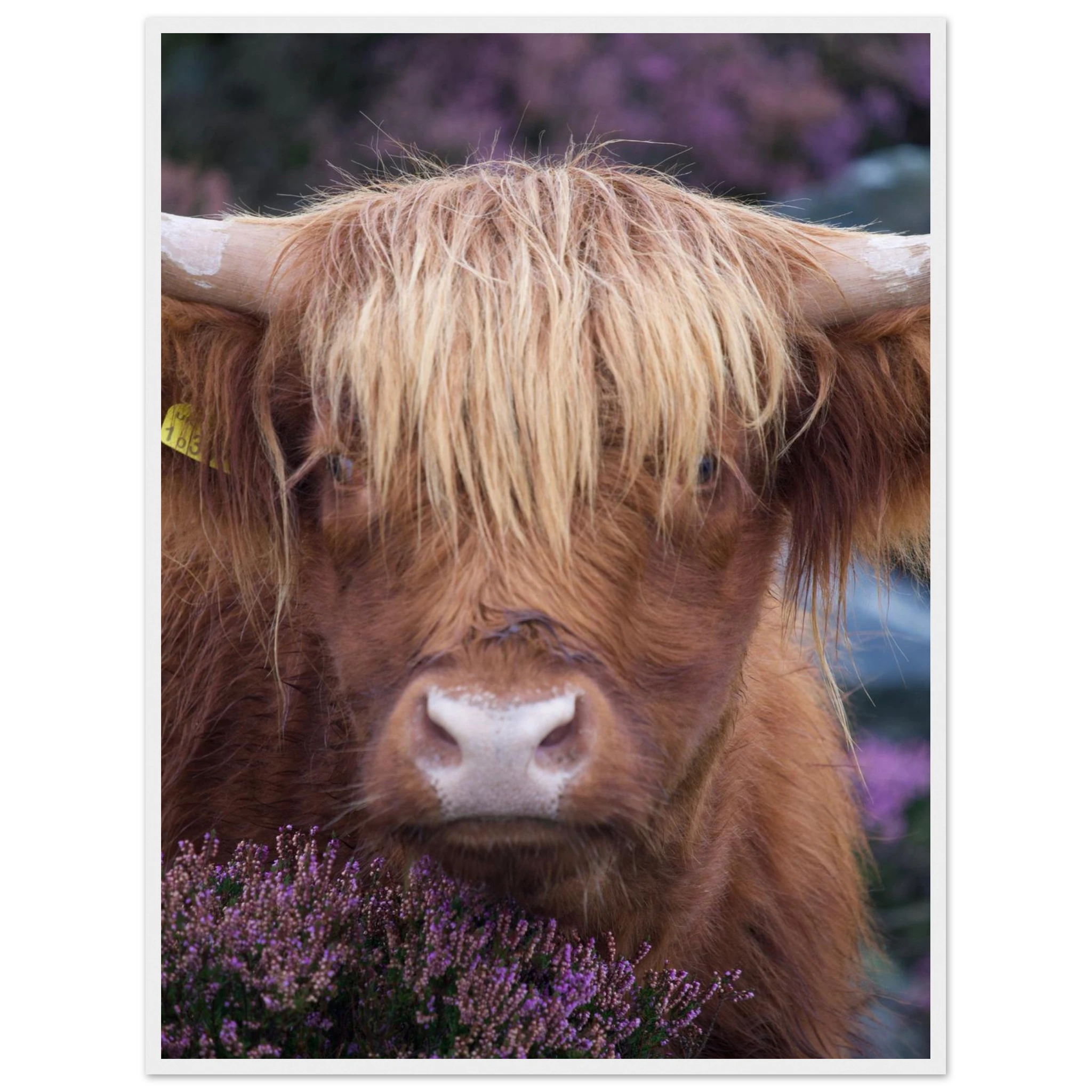 b4b1940e-410e-4812-8d3e-0320c352b0ac