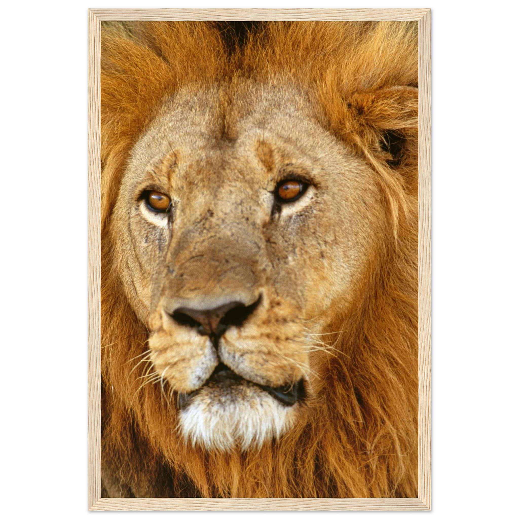 b4b616a6-840d-4e53-8c46-2336a89a6487