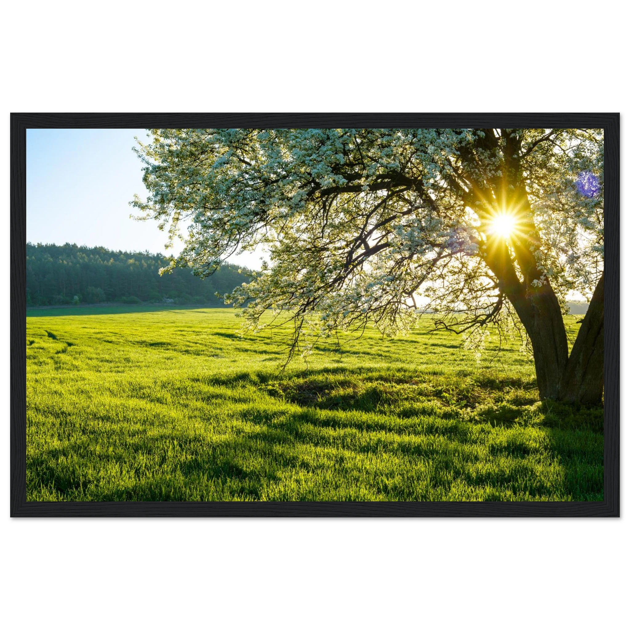 b4c02be1-c8cf-43ed-a0bd-f5b4b49db50a