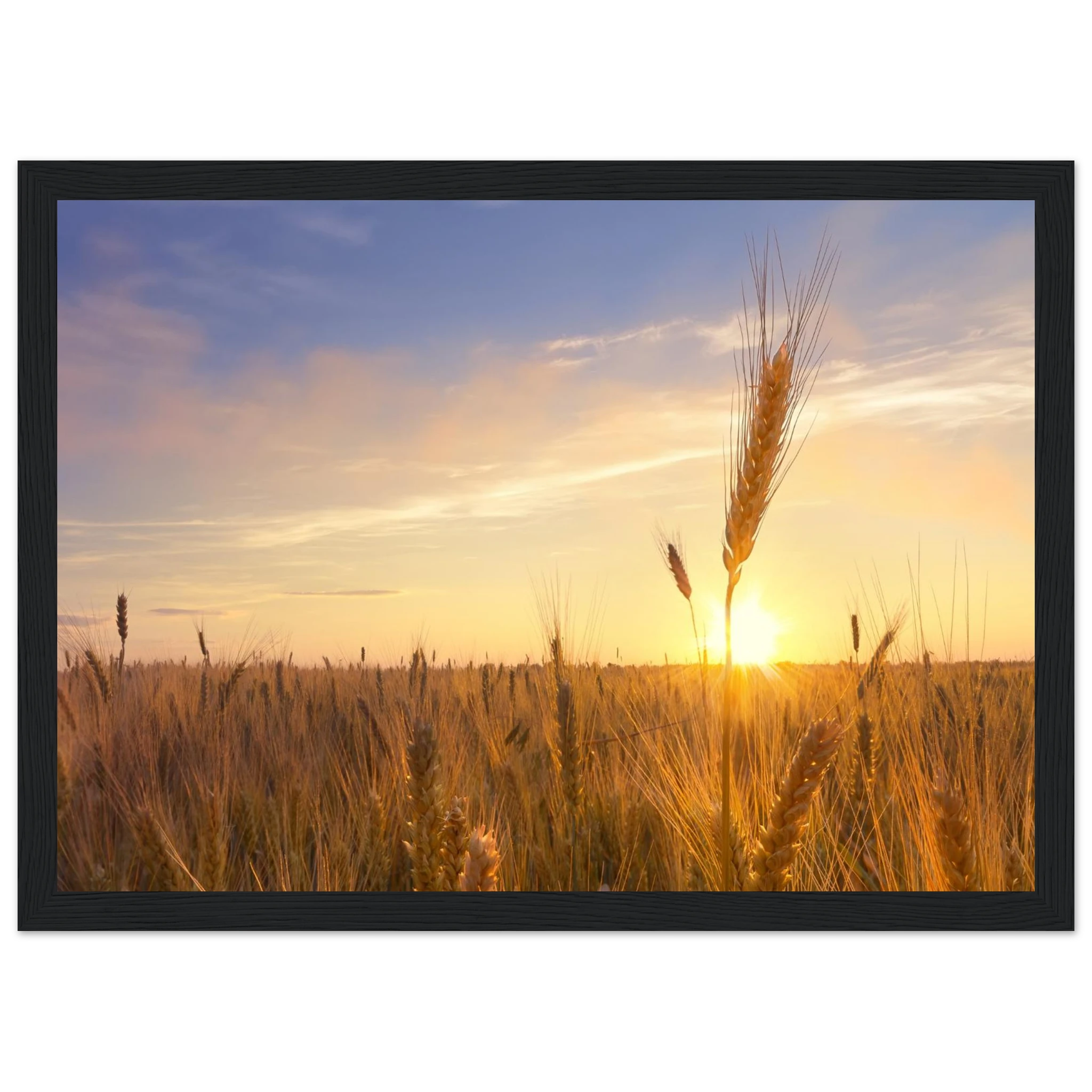 b4c36740-832e-4d57-9a0c-0a19027a8d06