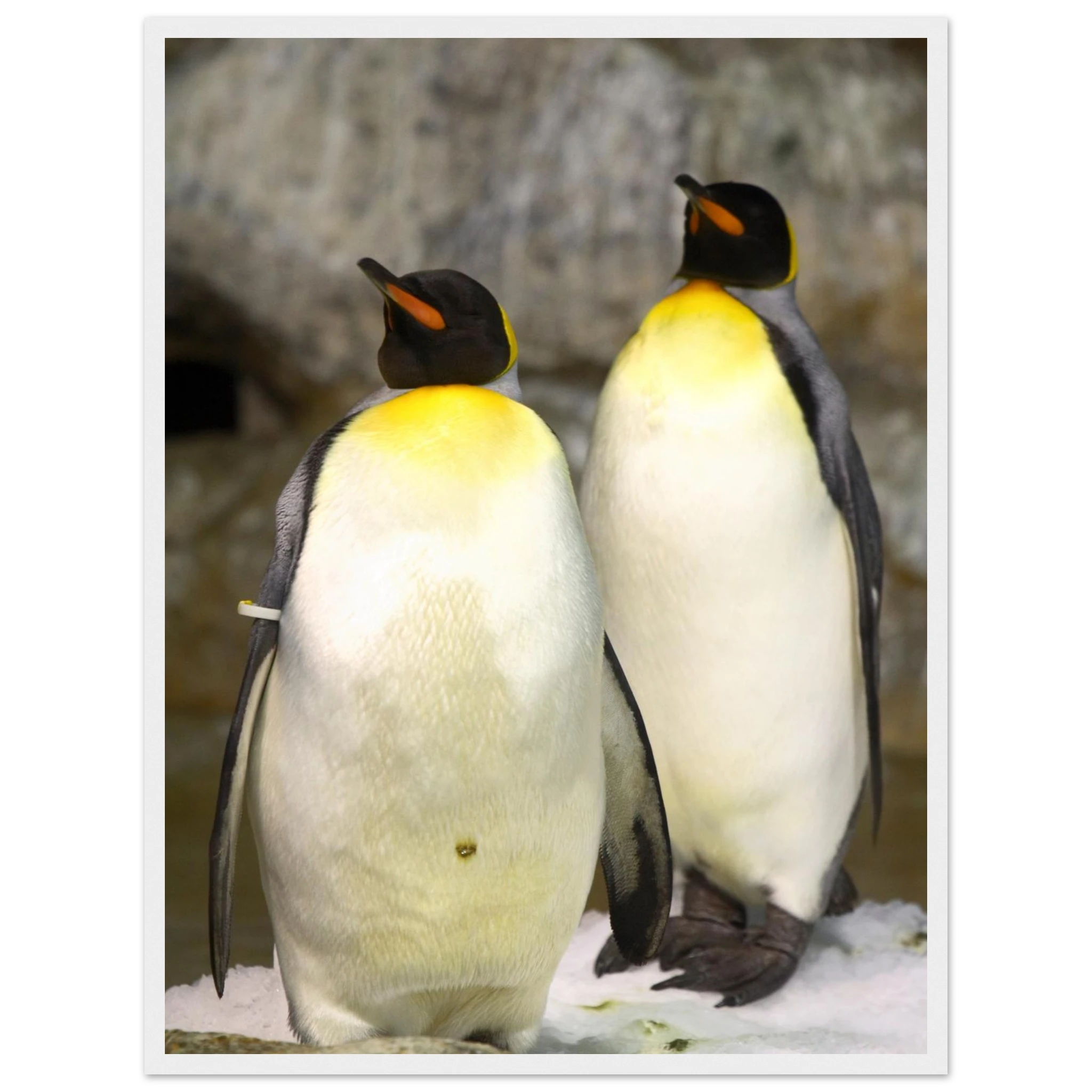 b4c59dba-dd36-4d13-8af1-90ad67ebeec8