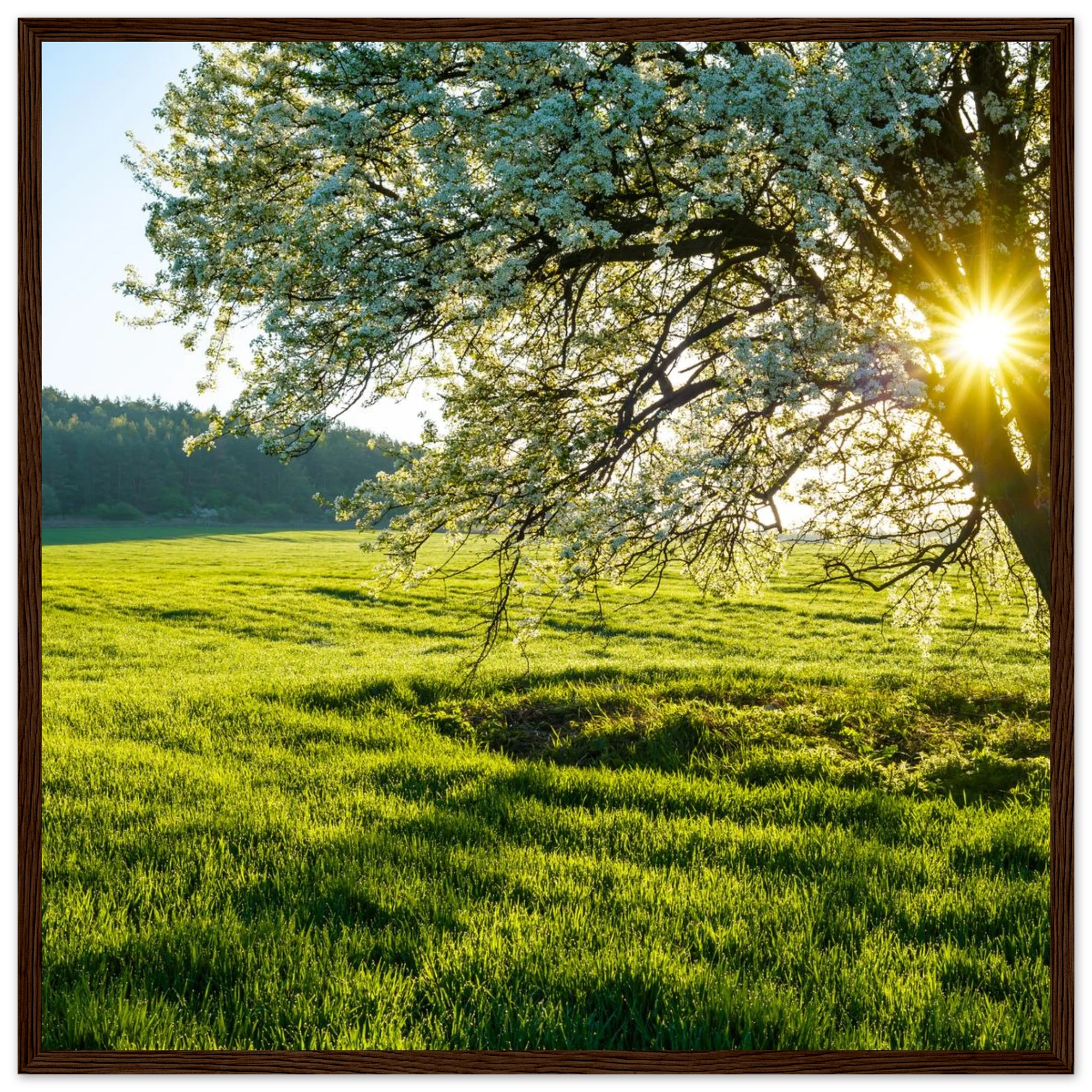 b4e82972-f432-4108-99eb-90d3e02f7b56