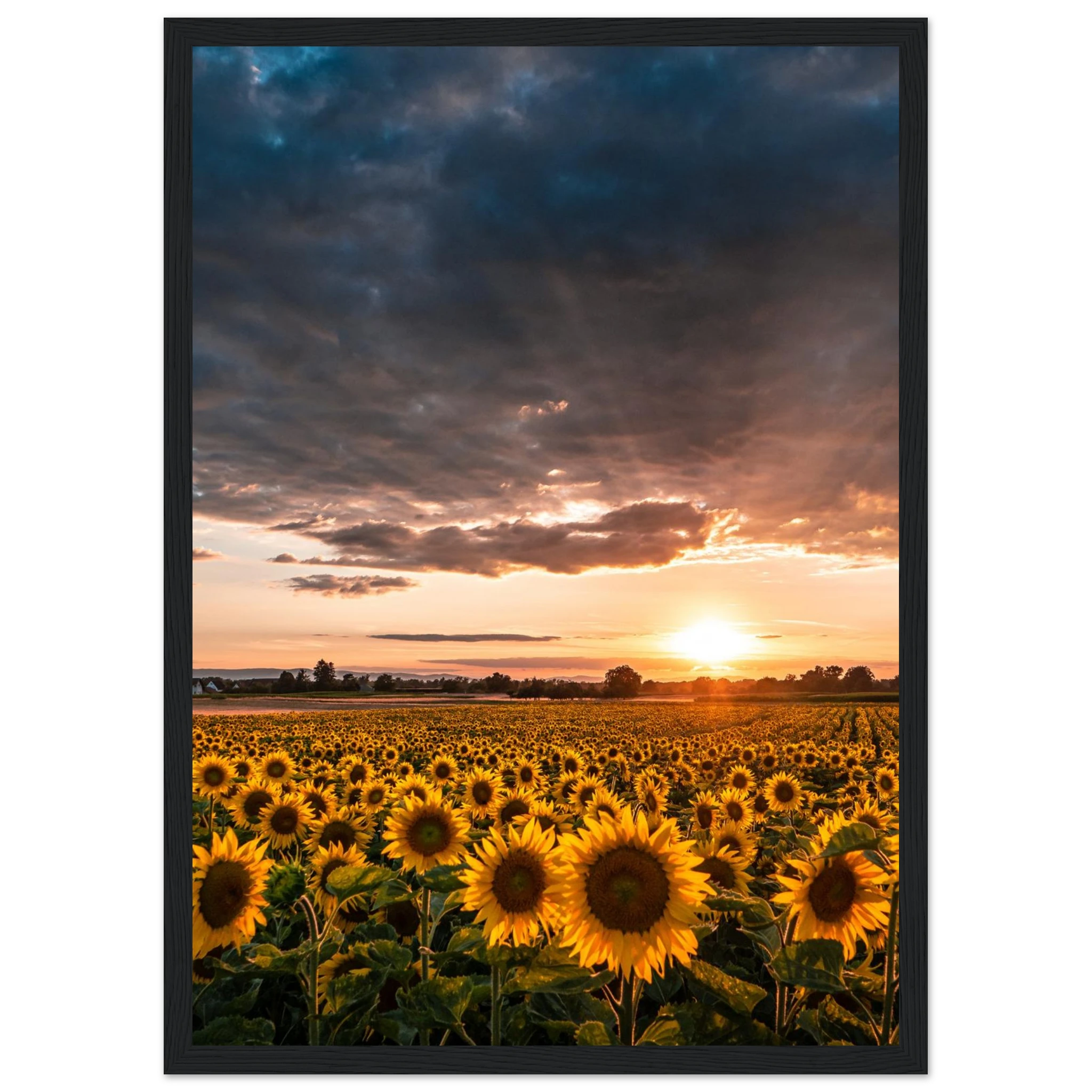 b4e99b63-e752-4a3c-bd8d-64898b7970a1