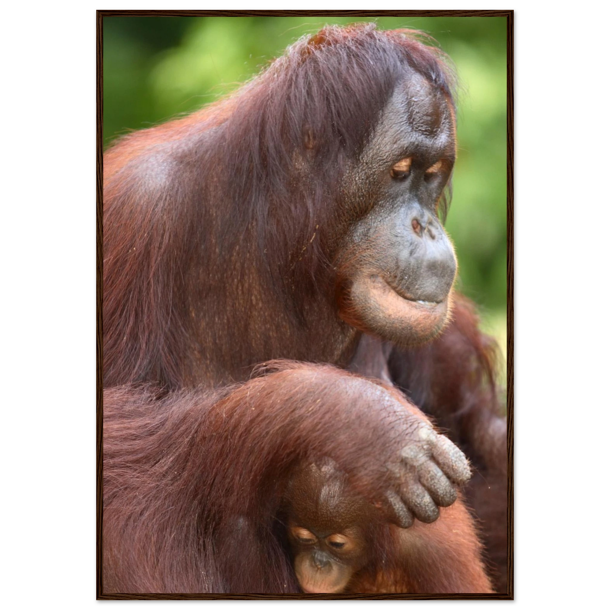 b5016649-7fe8-4a73-8e08-3082ce72fdca