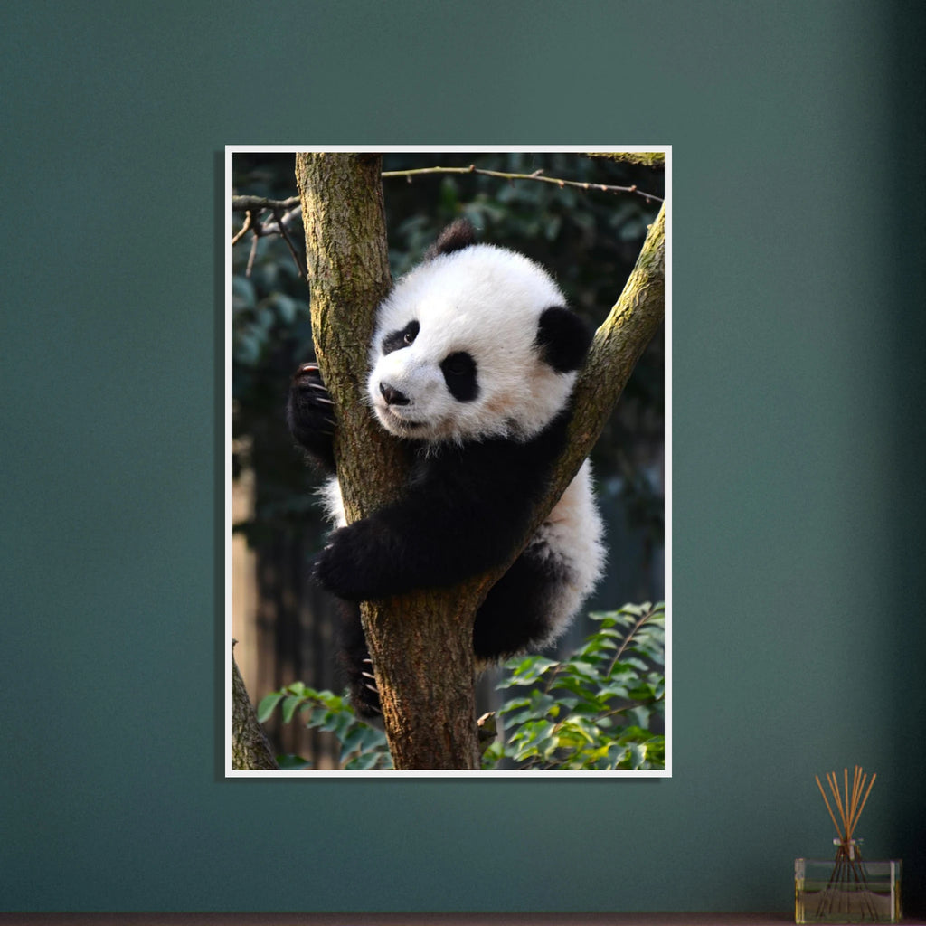 b5254a28-d2b7-4256-a29a-6de9a00f6916