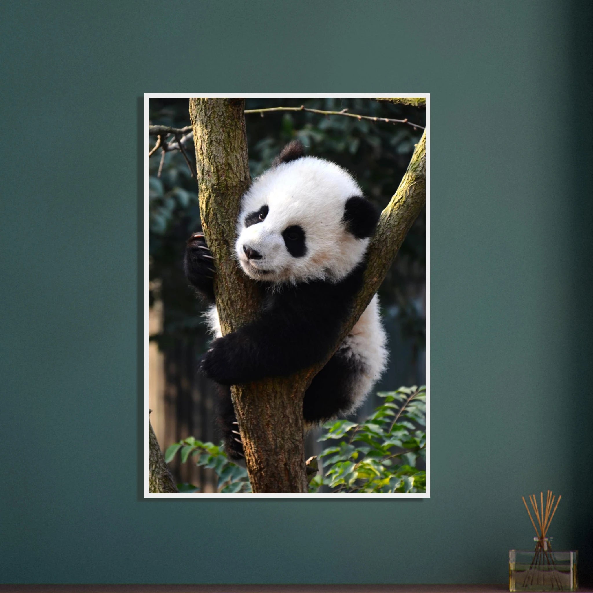 b5254a28-d2b7-4256-a29a-6de9a00f6916