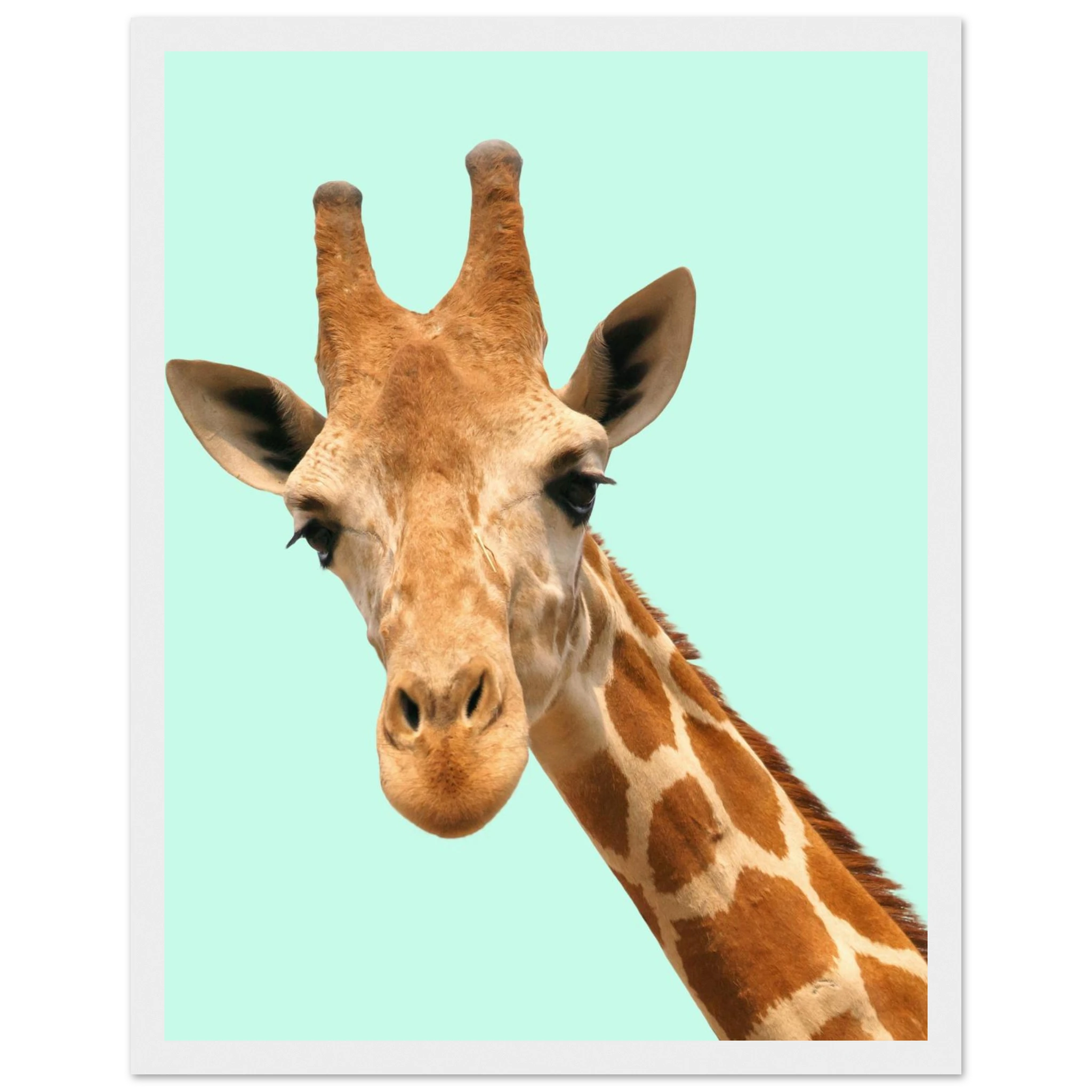 b5265f3b-74b3-473c-bce5-59c54ae42e85