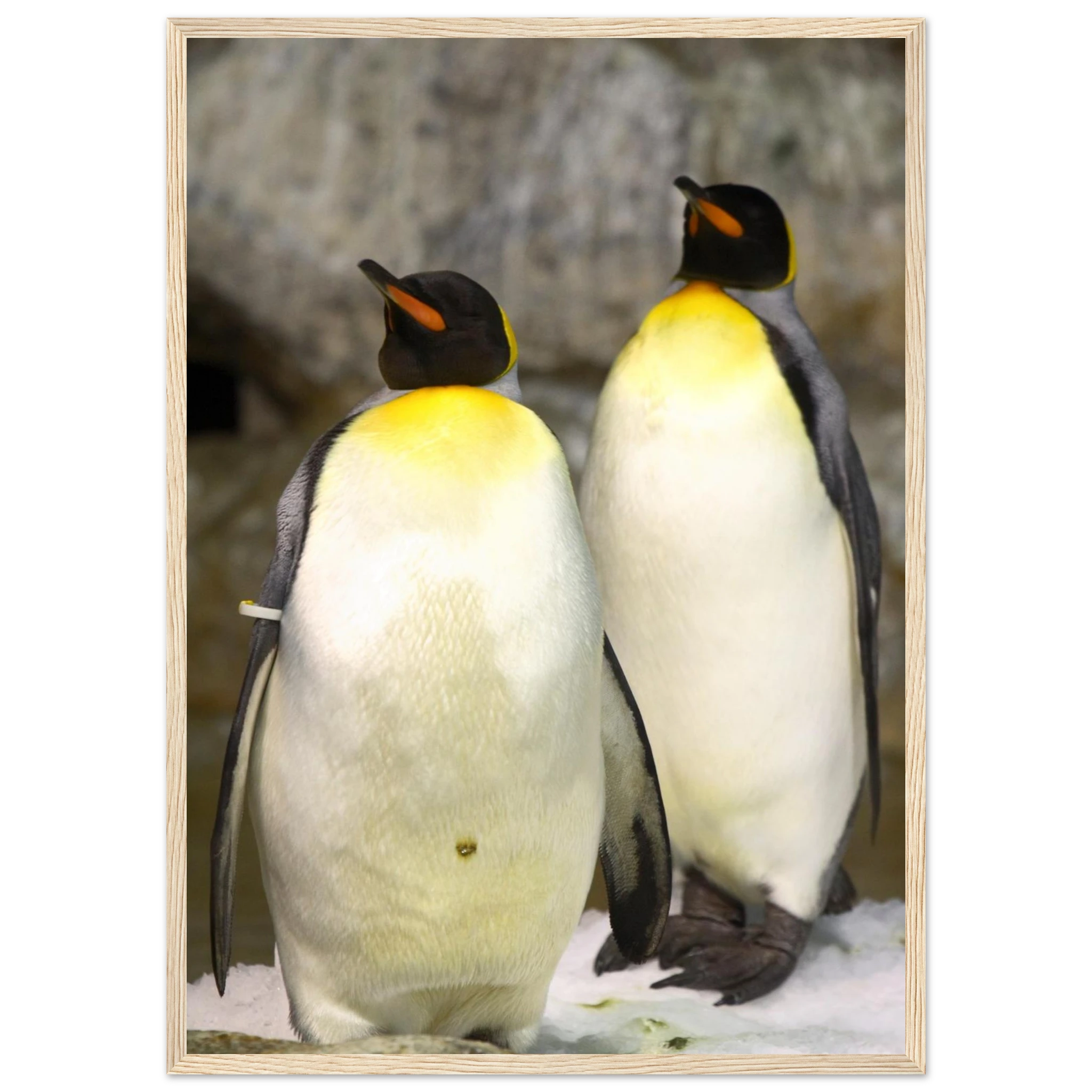 b528308f-5390-4874-a9e2-a5379e0ccd4a