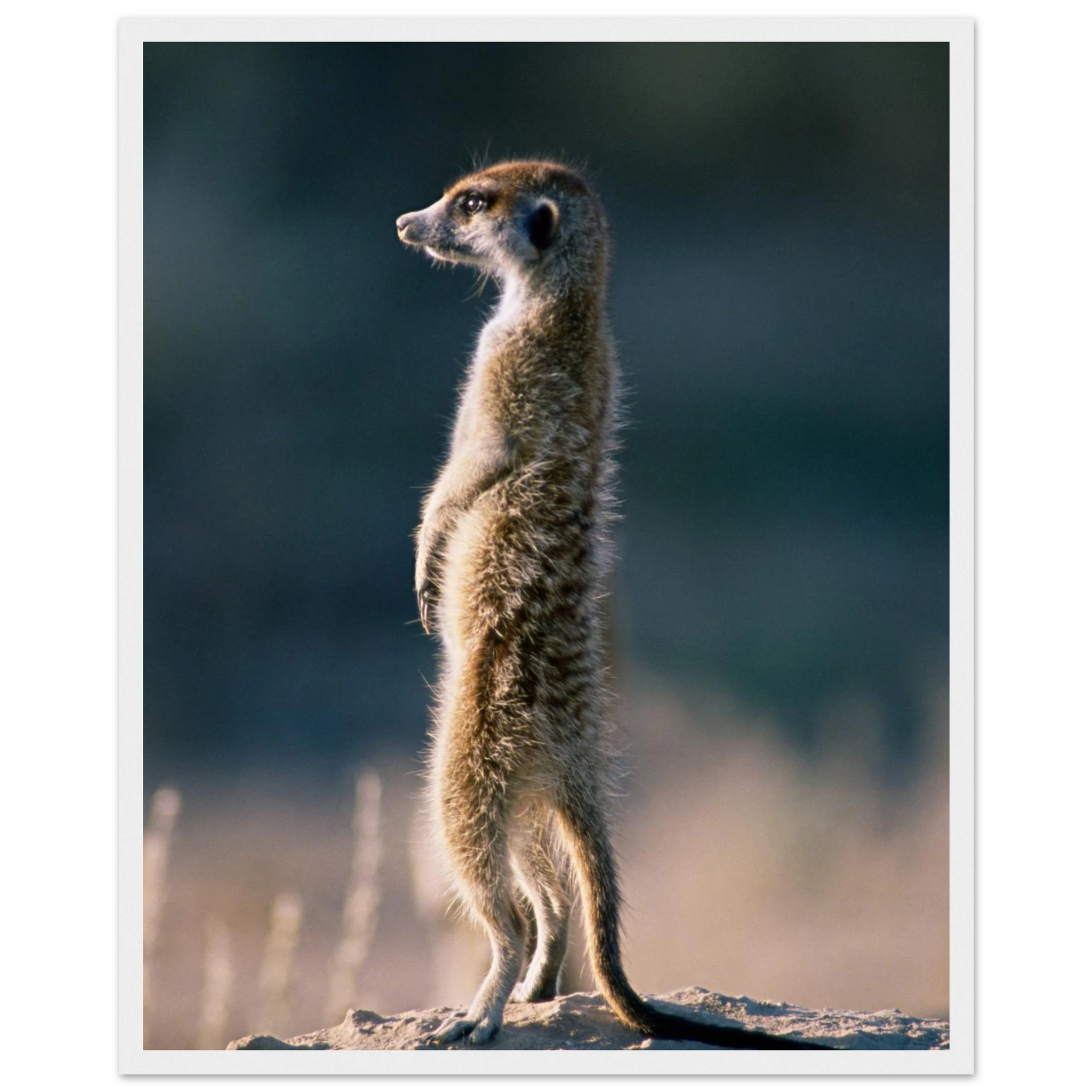 b52ceb26-667f-4f05-b1c7-d19e538a21ff