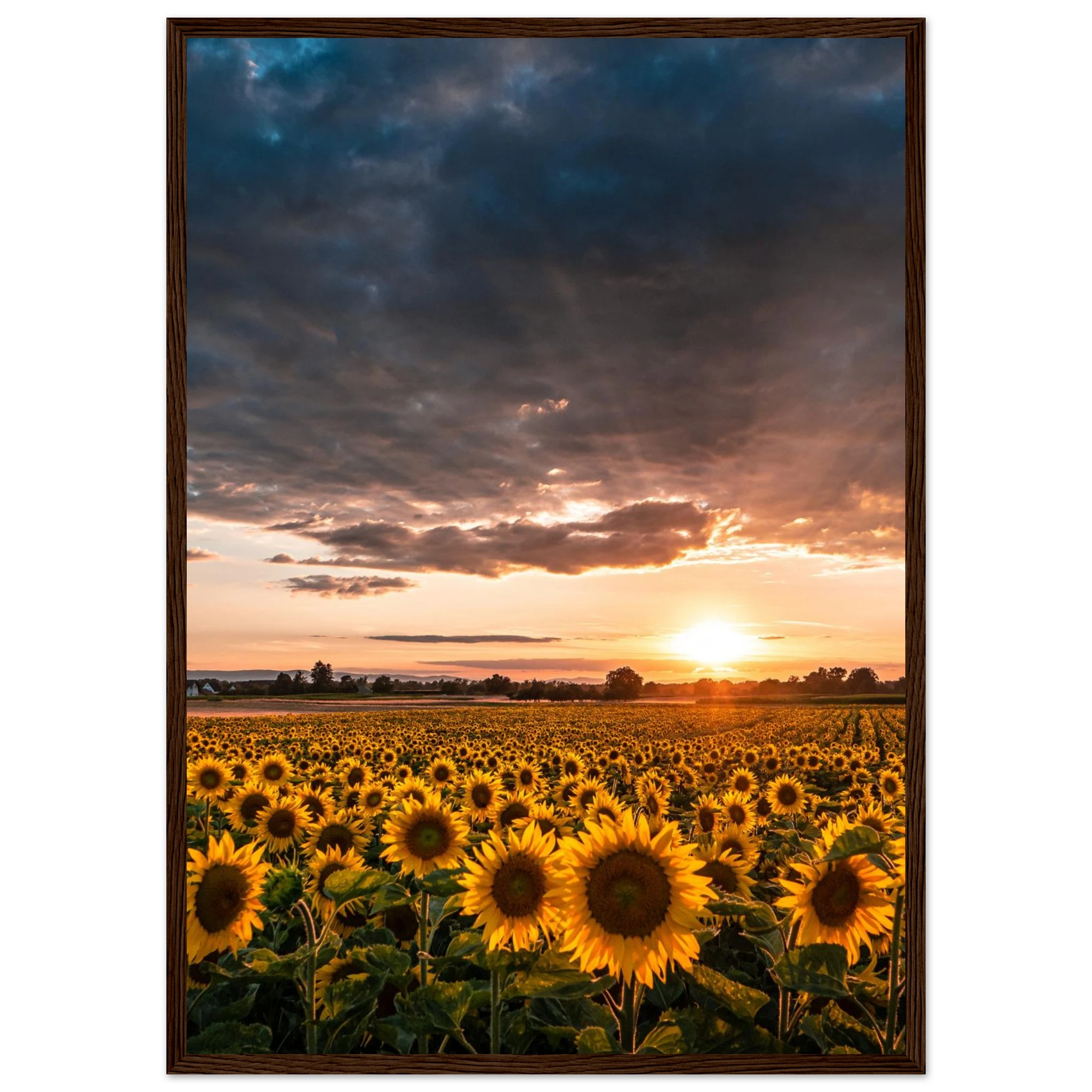 b5315c5c-720f-4e47-8765-2b1caeccaf7d