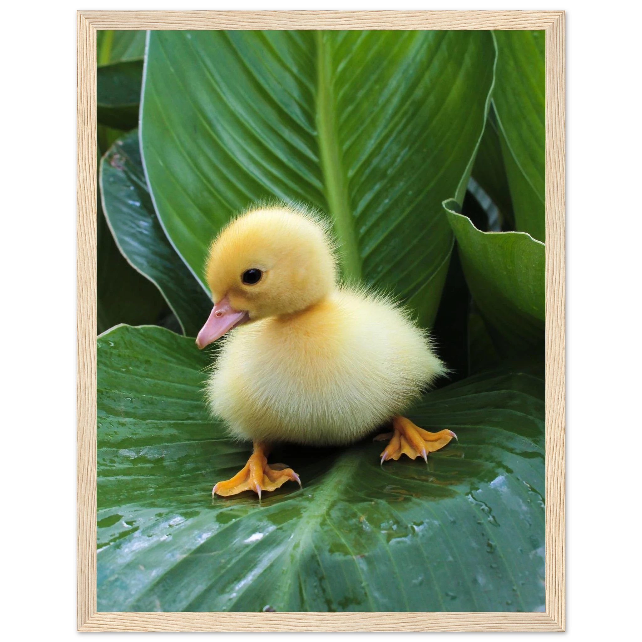 b5319591-4b51-4341-a588-e7bbe1eec1fd