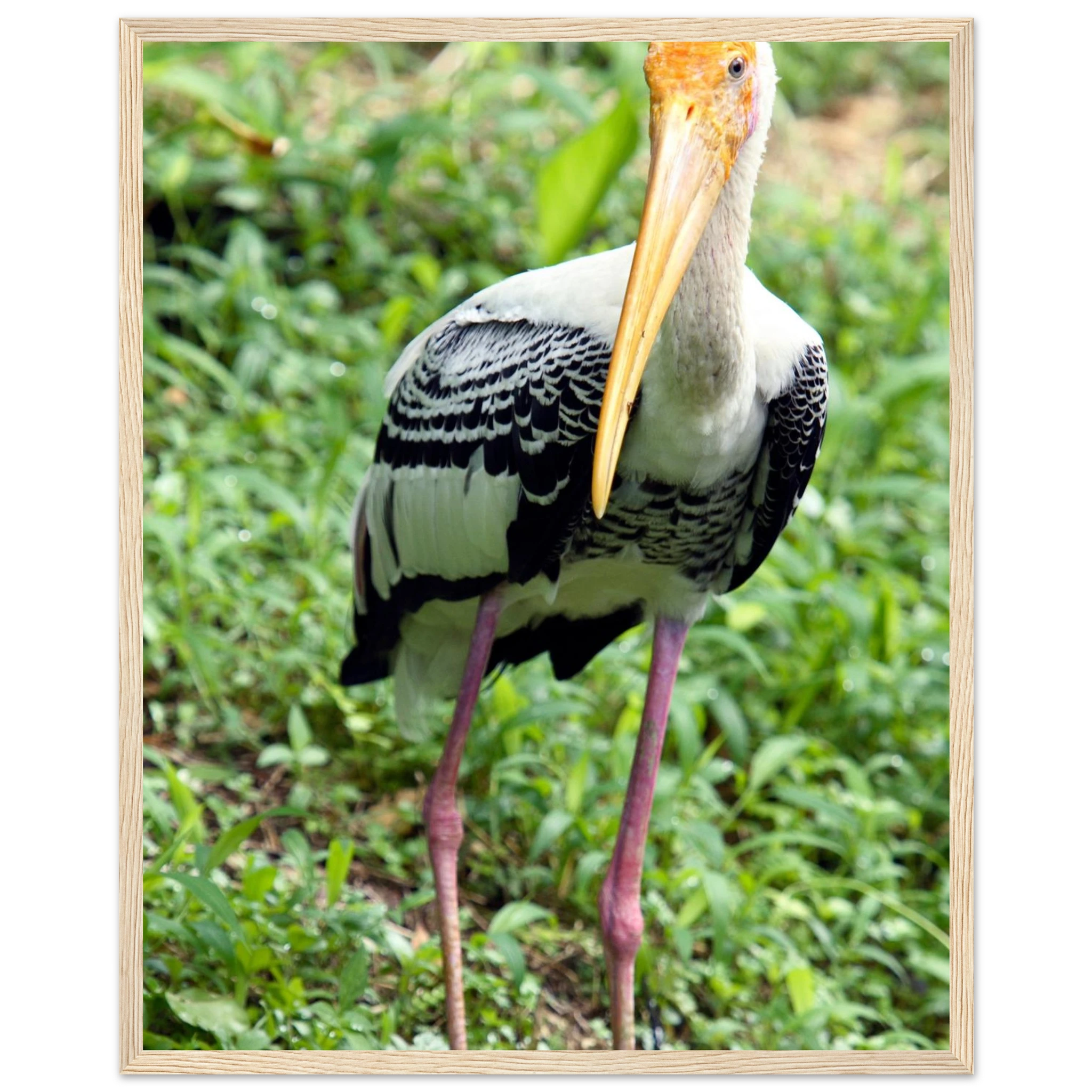 b53363c1-3828-476f-b09e-d6e643c548a9