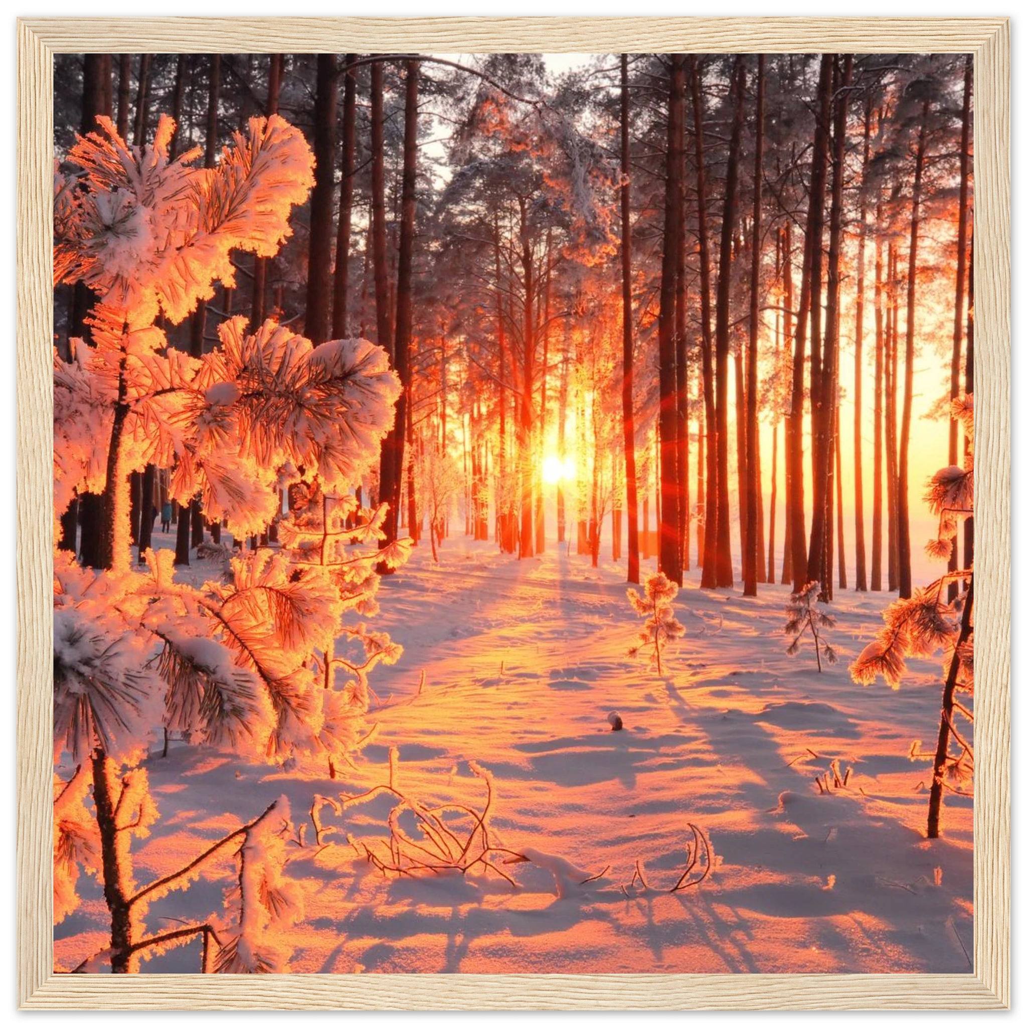 b5342ccf-e702-4202-a0dc-7bcc5b6f2c79