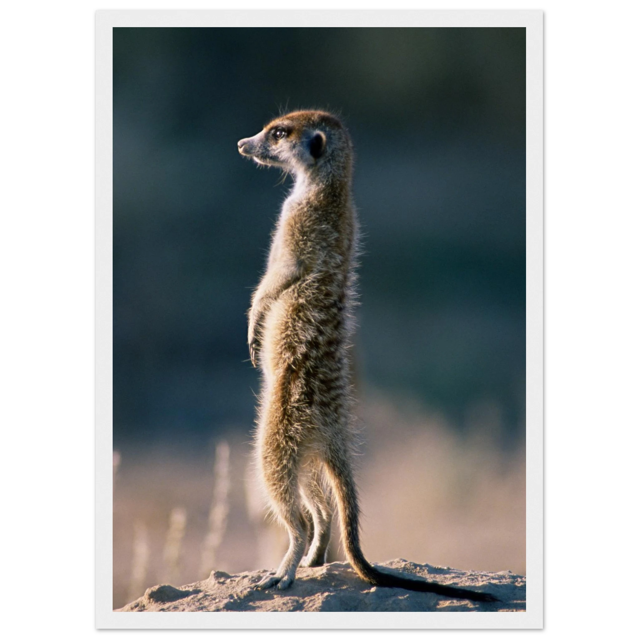 b536e251-454d-4308-b4eb-2804a5135560