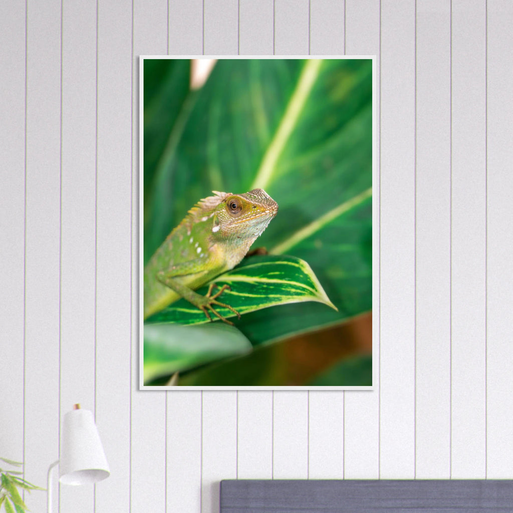 b54dae64-469f-4dd8-8430-38480aae6e28