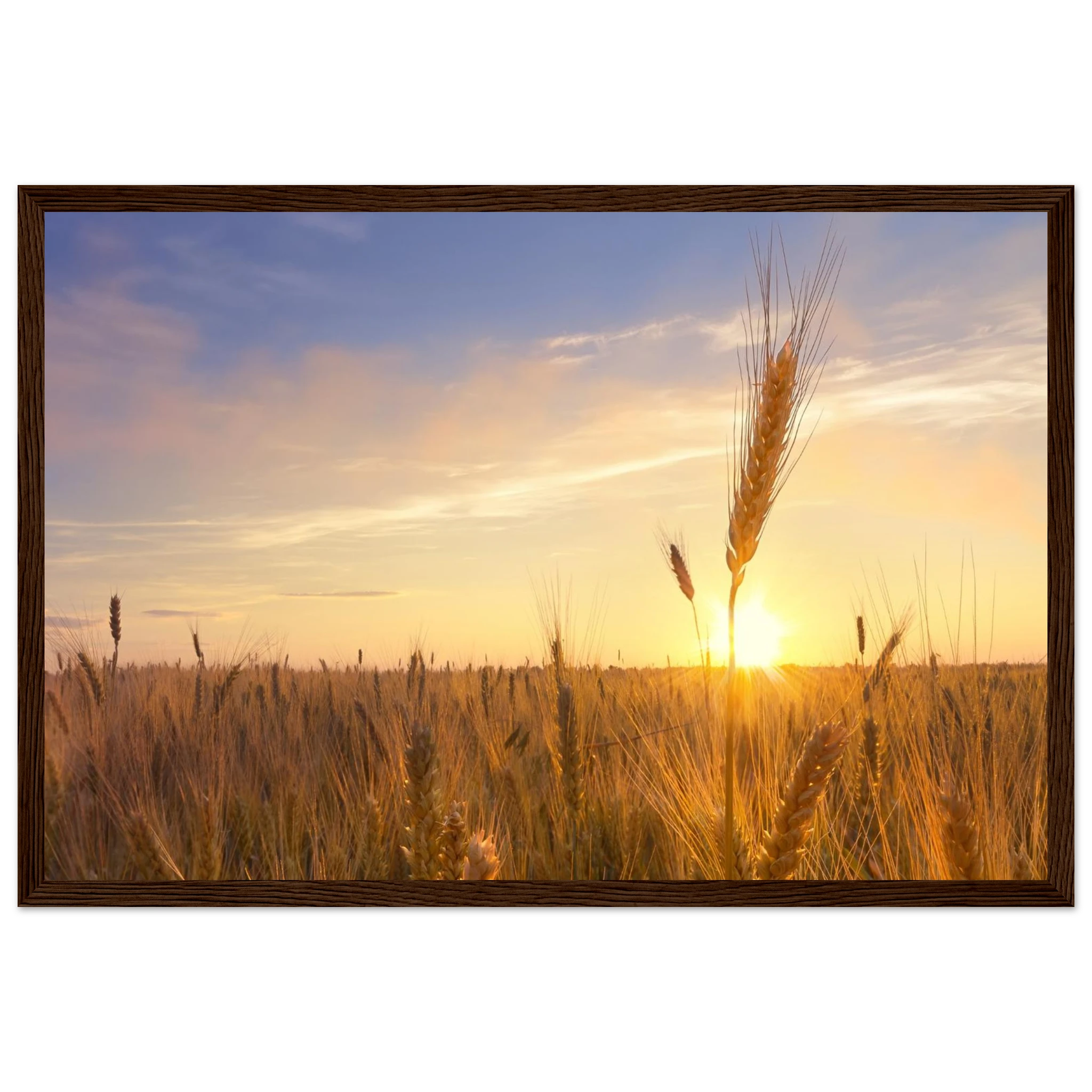 b56fc870-ea25-4f47-b883-dedff16400aa