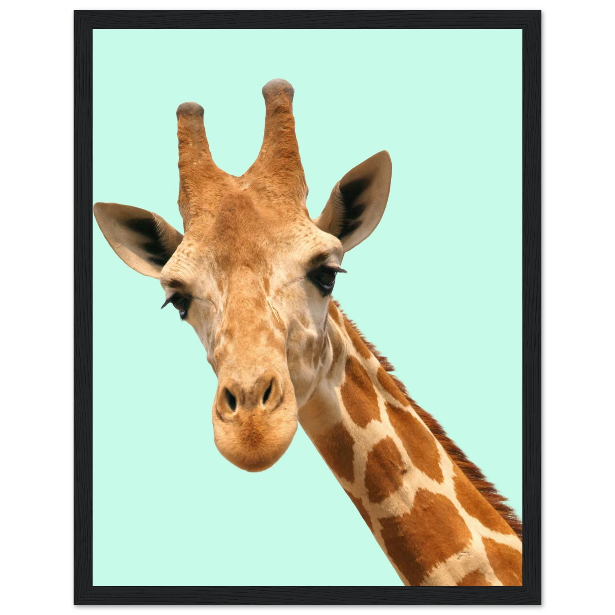 b572181b-c83e-479b-96bd-e030dae975b7