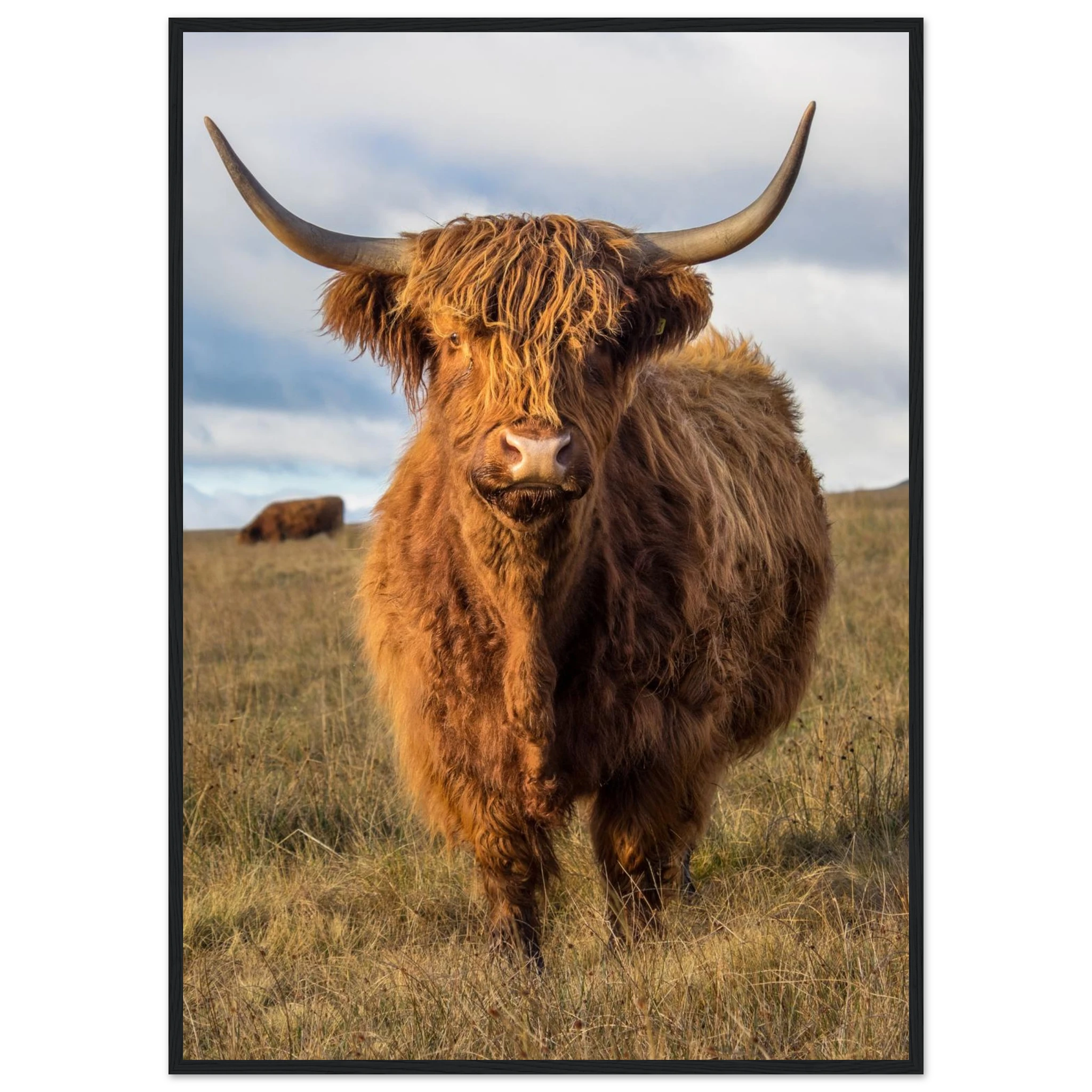 b5821deb-0afe-4cd1-bd34-a1c5a92e346f