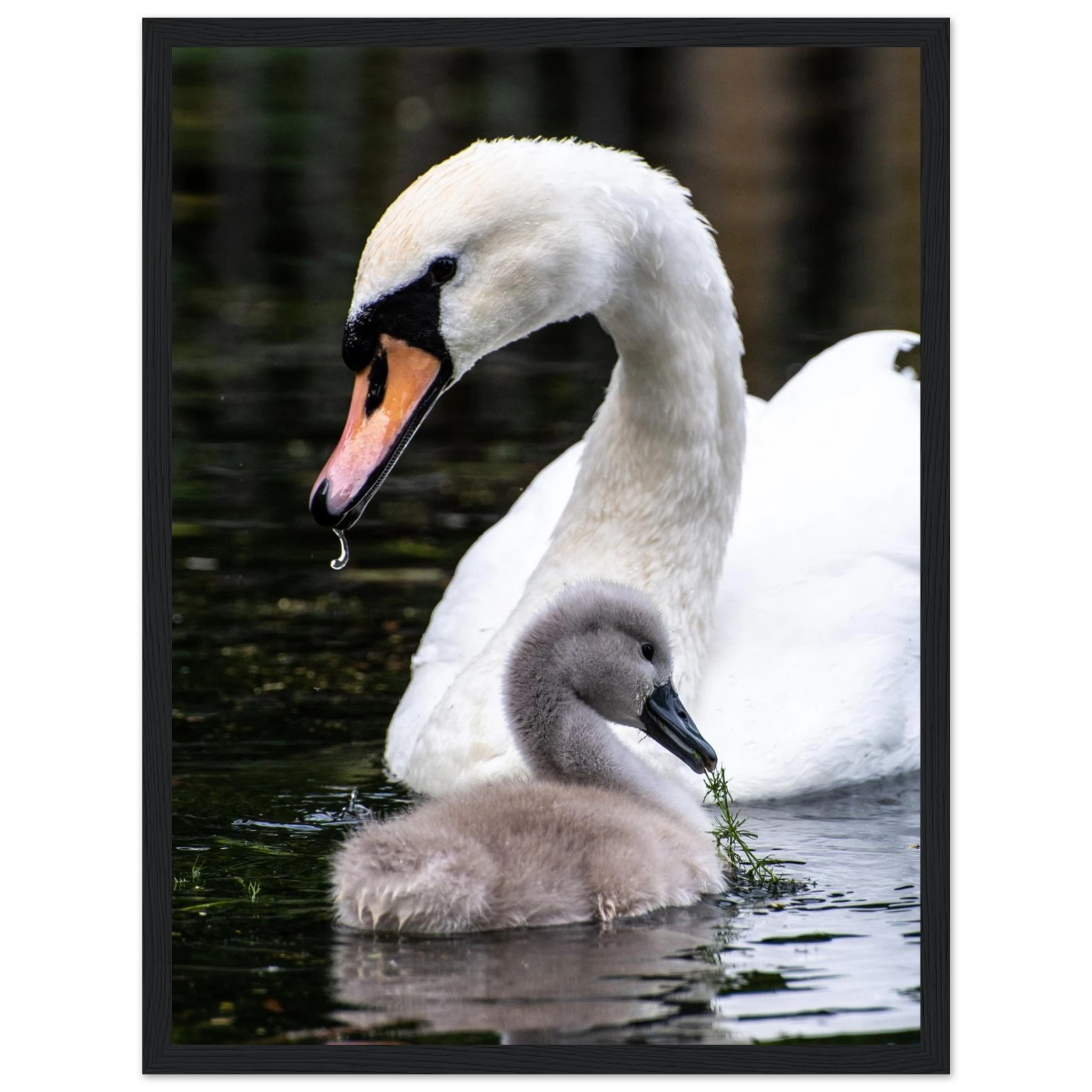 b58b2500-7258-4e11-b9eb-79977710a03d