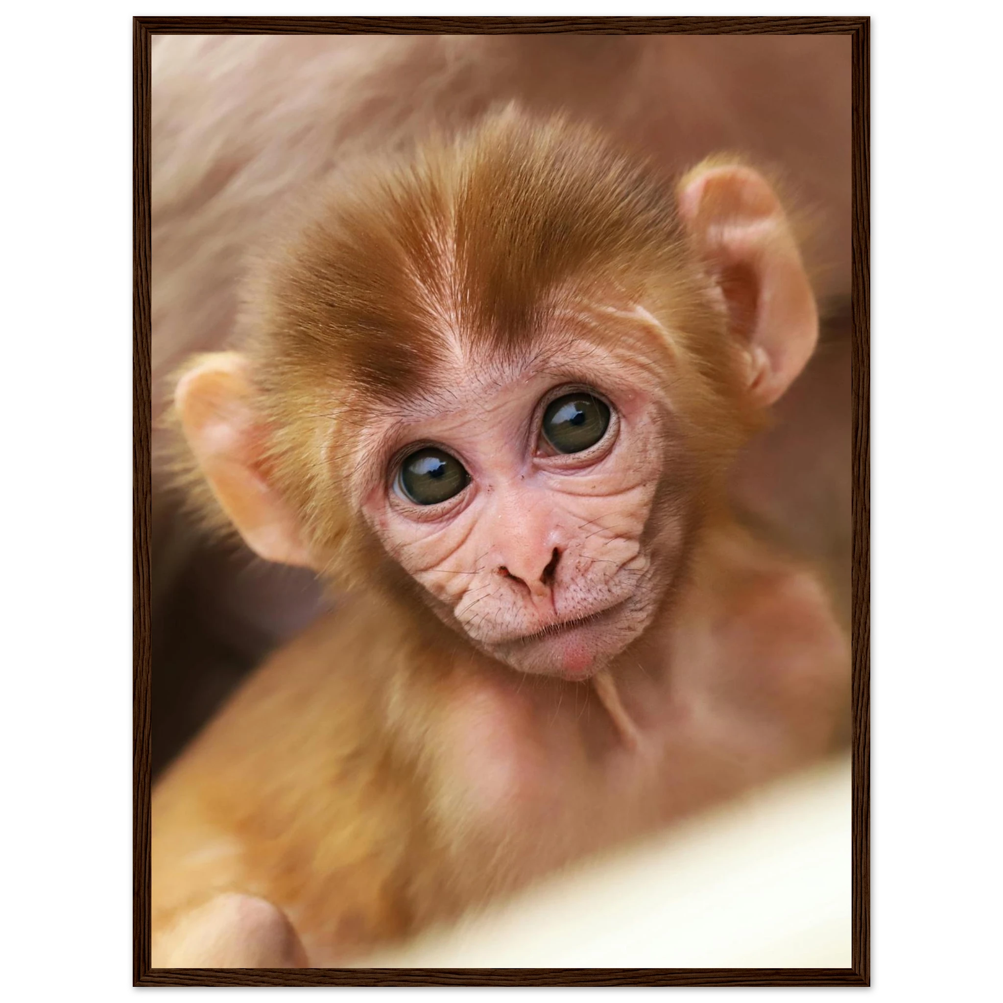 b59258ed-6965-4c25-a632-0e1be3329265