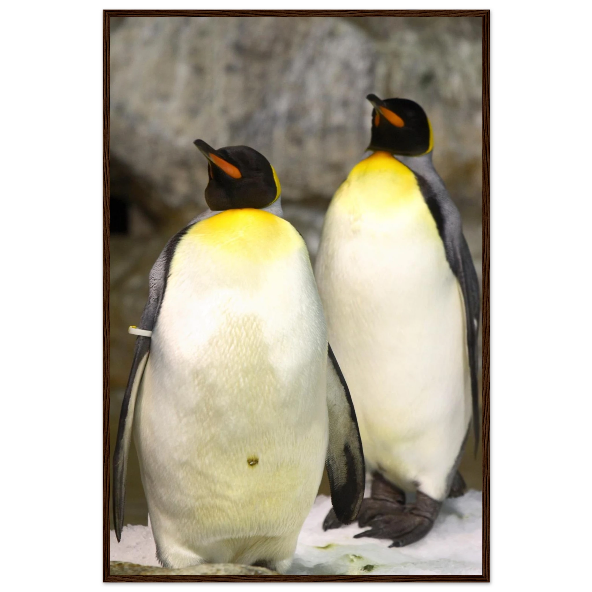 b5ad2257-5daa-477d-a556-2934cbce5670