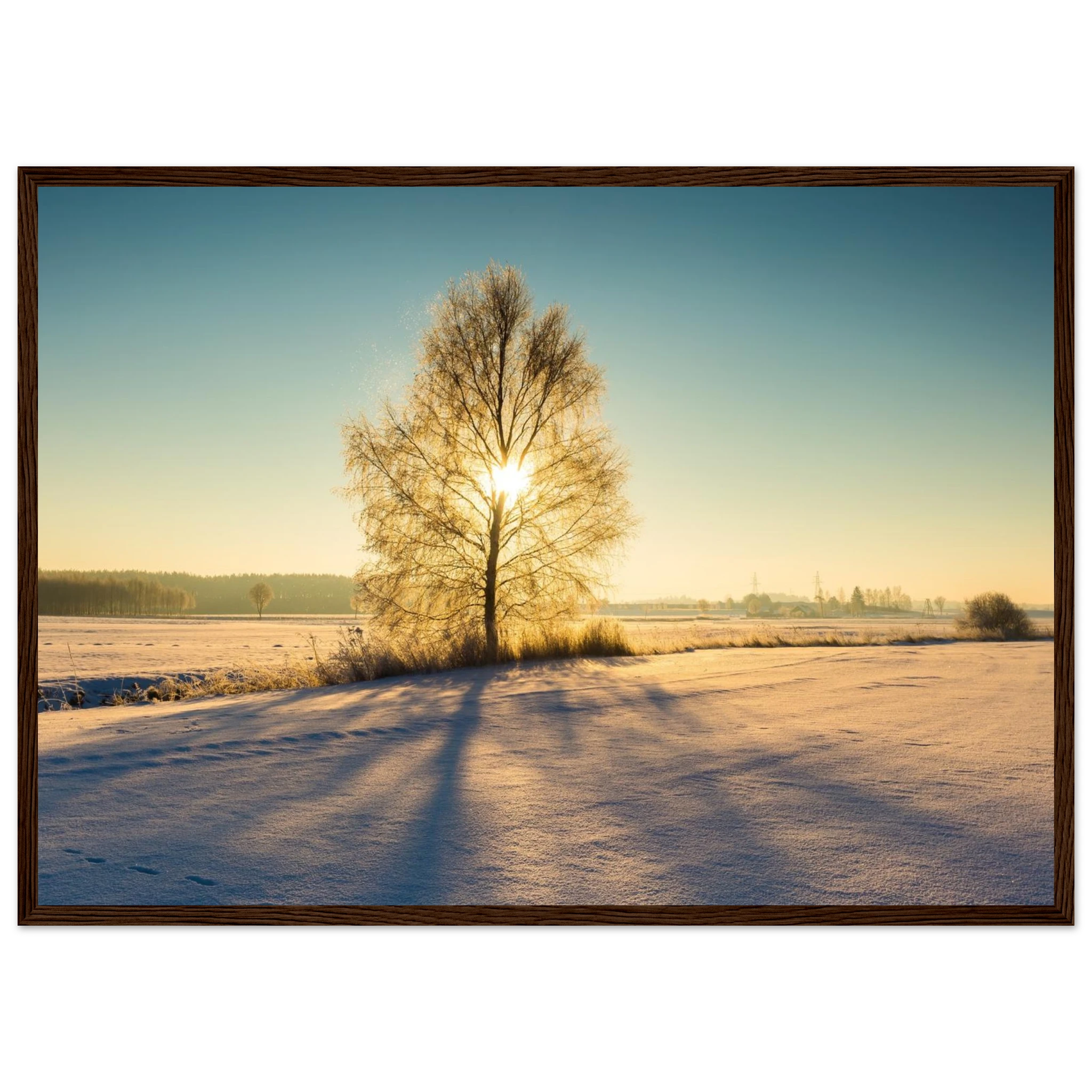 b5adc268-6a3e-4c9e-b901-49f67afcde78