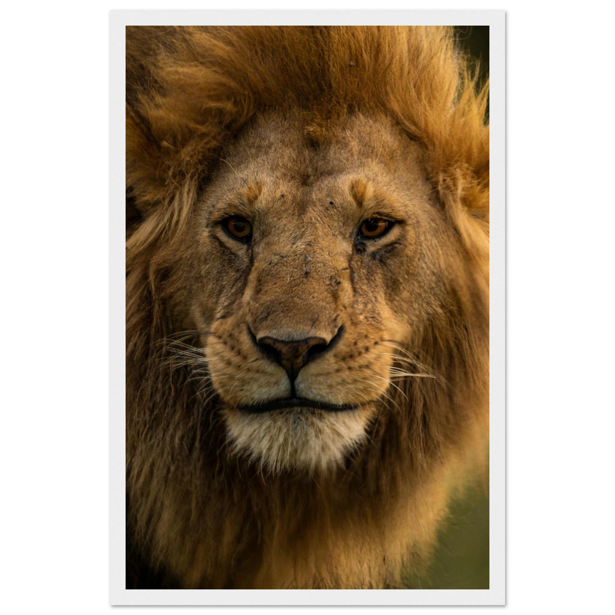 b5af7589-4573-4d3e-80bc-56ae105e0832