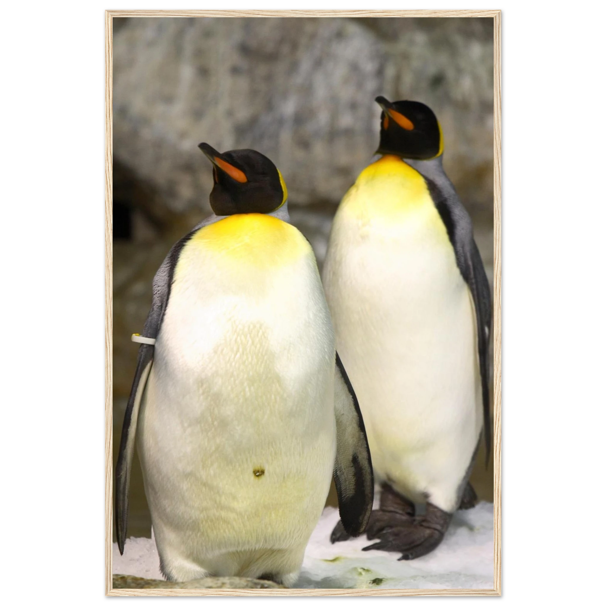 b5e2ab9c-aa5b-4e2c-9d1a-cba59dc5100a