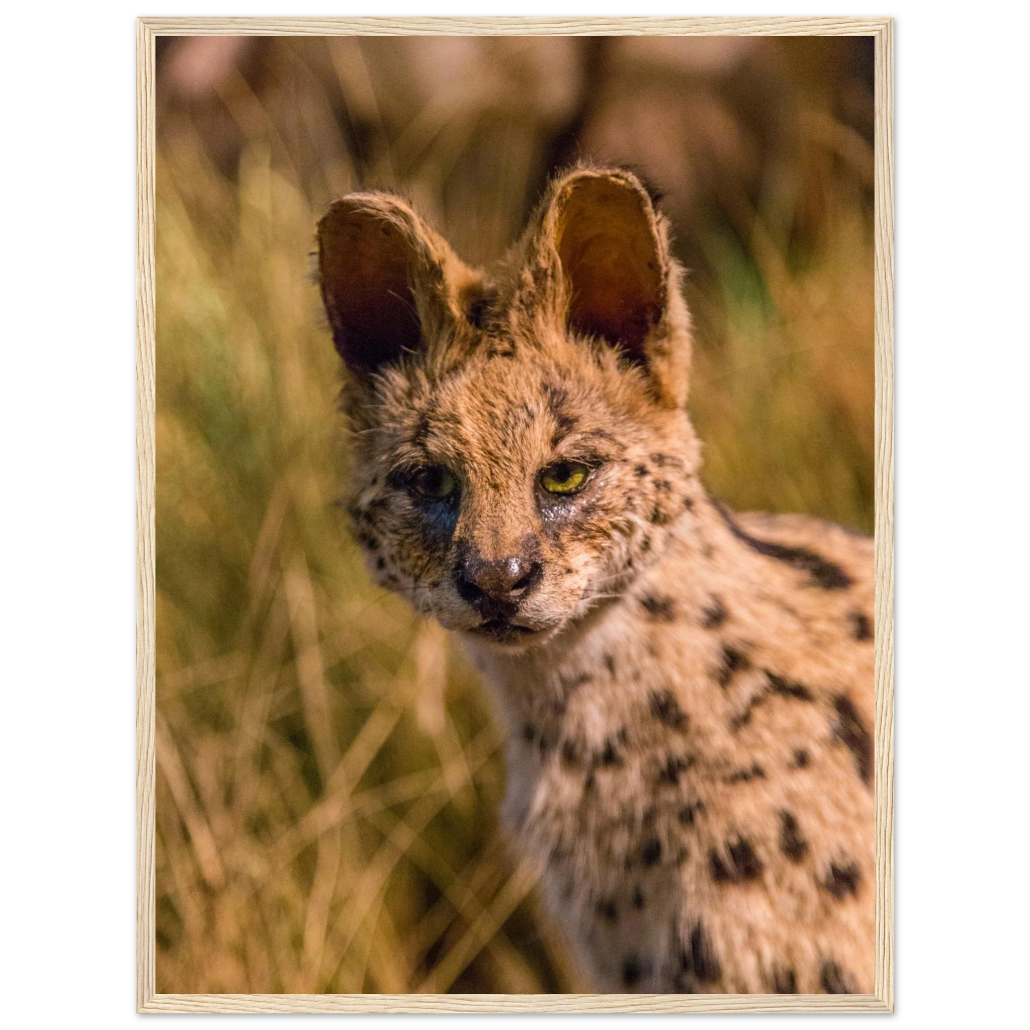 b5fd2db3-6841-4291-a767-d351886f7355