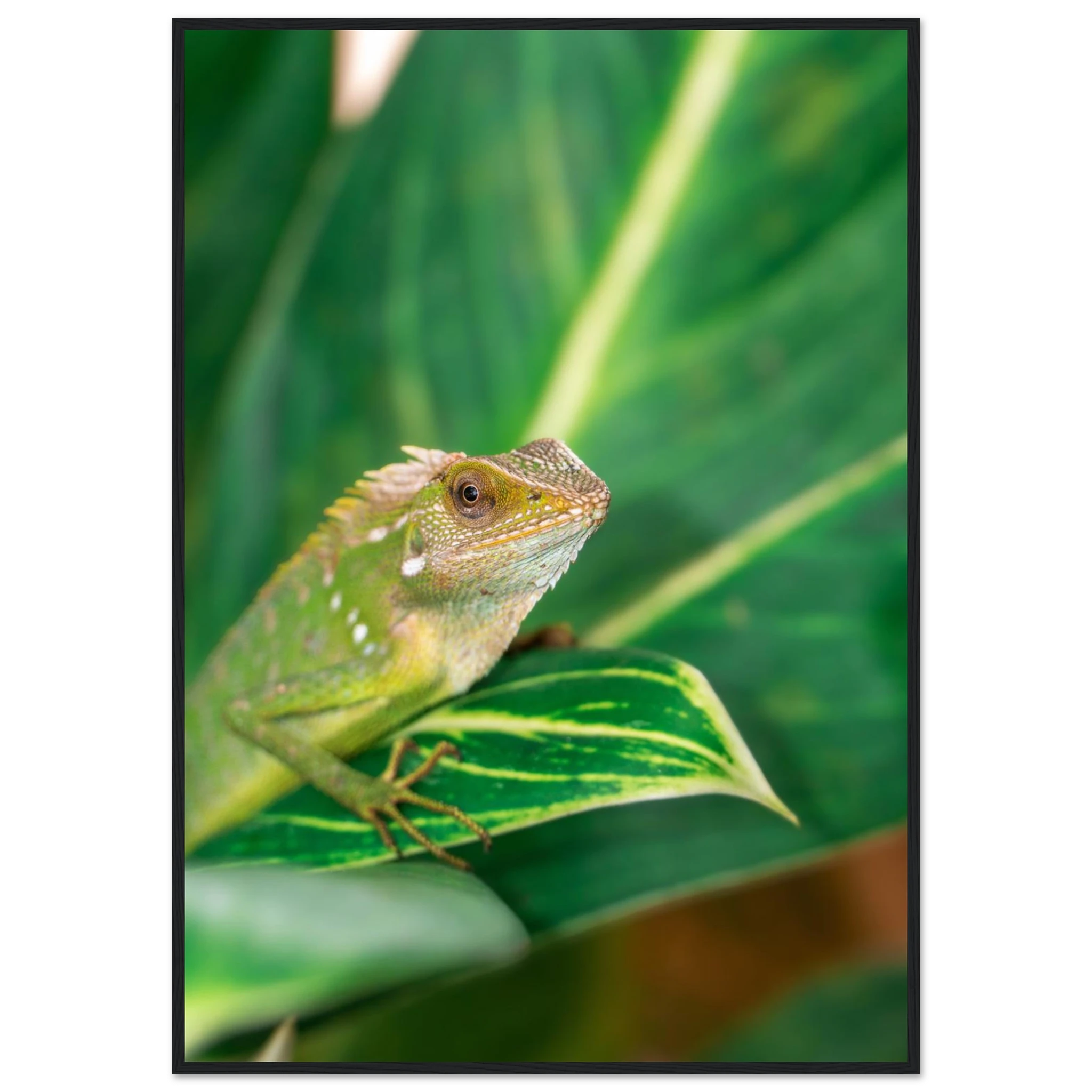 b6071a7a-6ed9-4098-9d88-6b5f25c88069