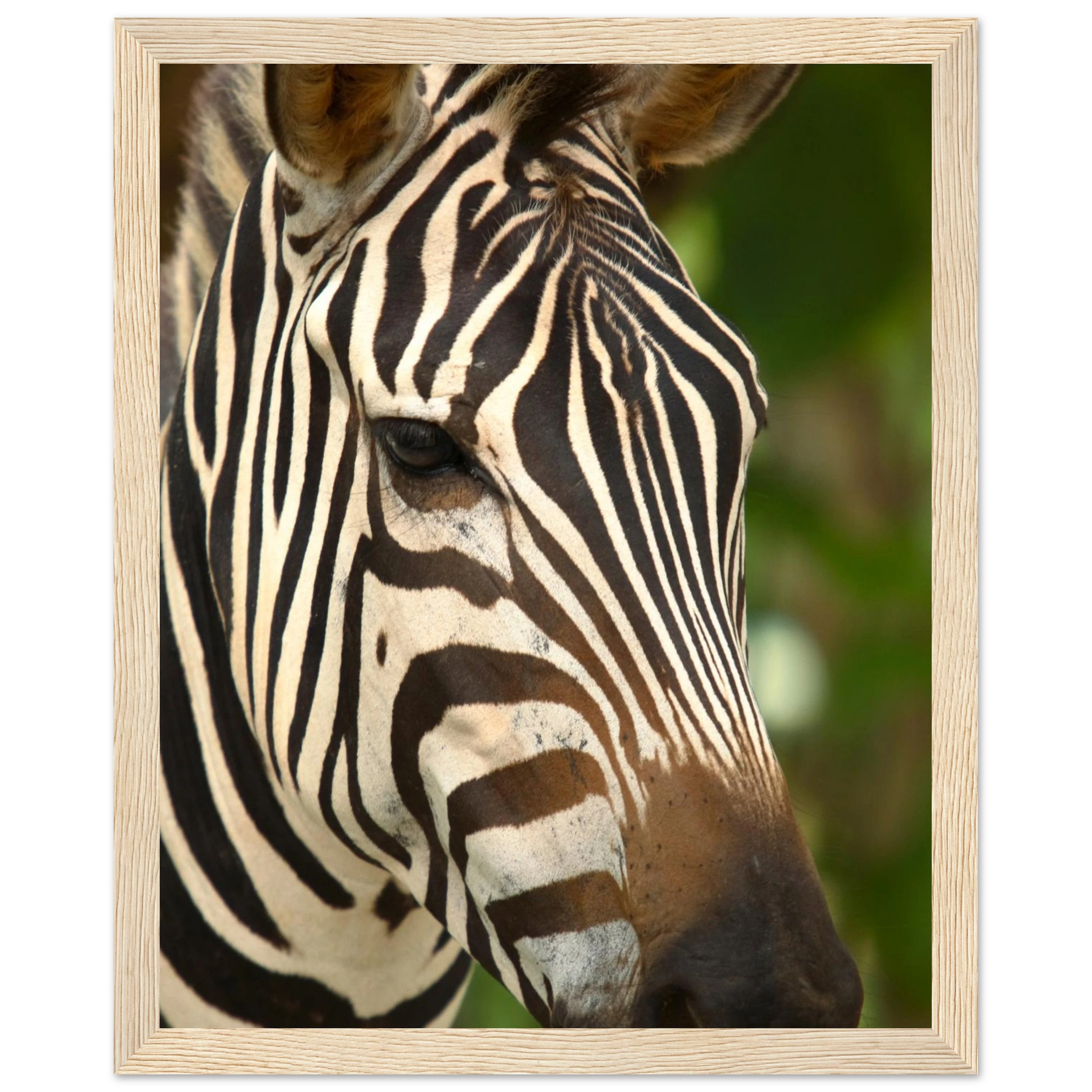 b611e856-3e65-4f39-aeed-9ccd07714d40