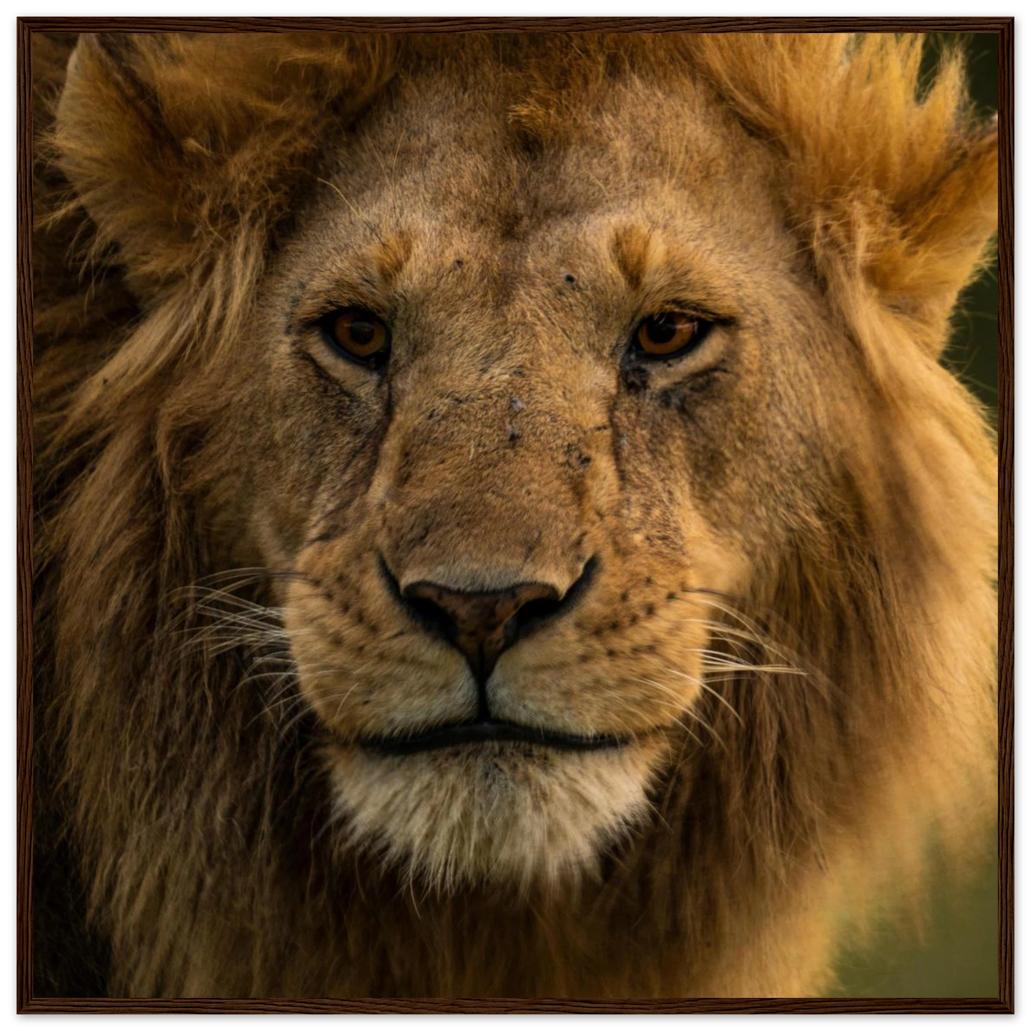 b6179bb5-2000-4a53-8958-4ce0c3a3aacf