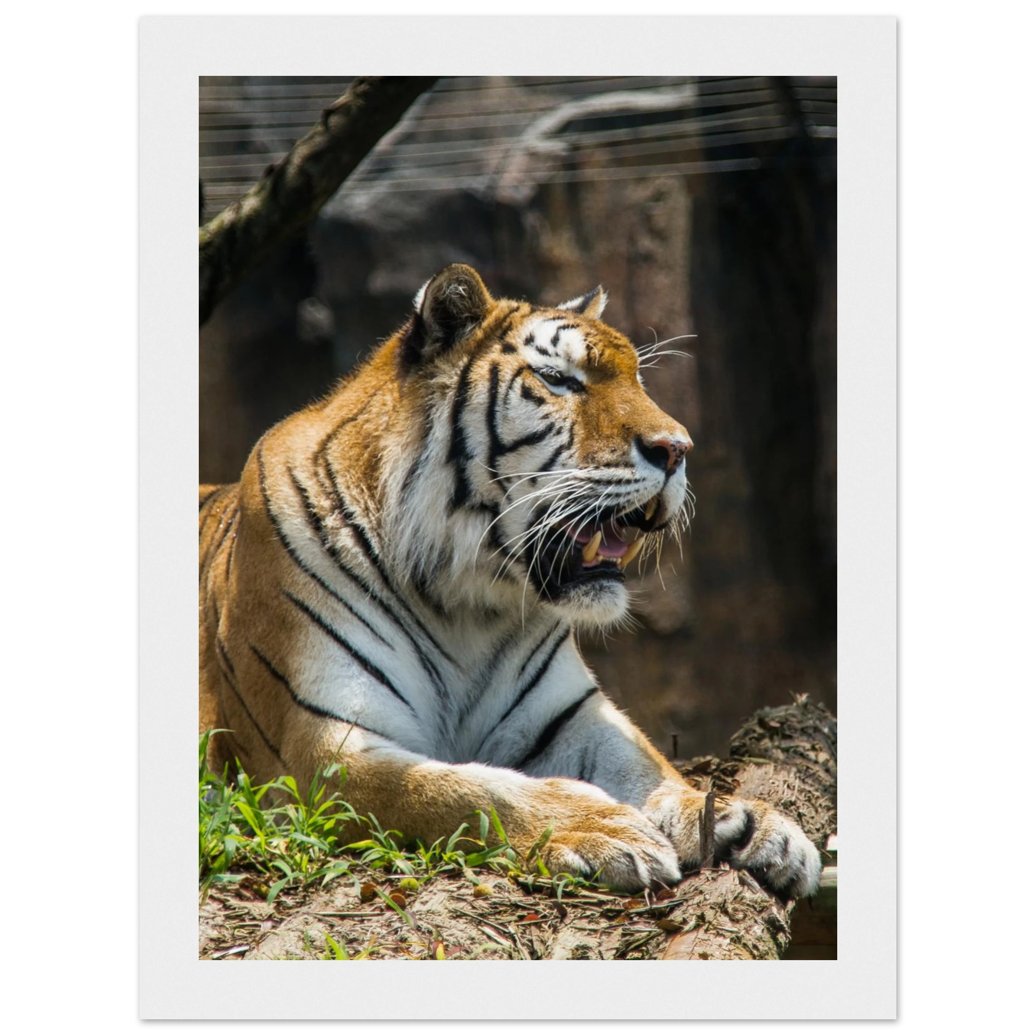 b6236403-45bc-40d9-8250-a8c2a183c199