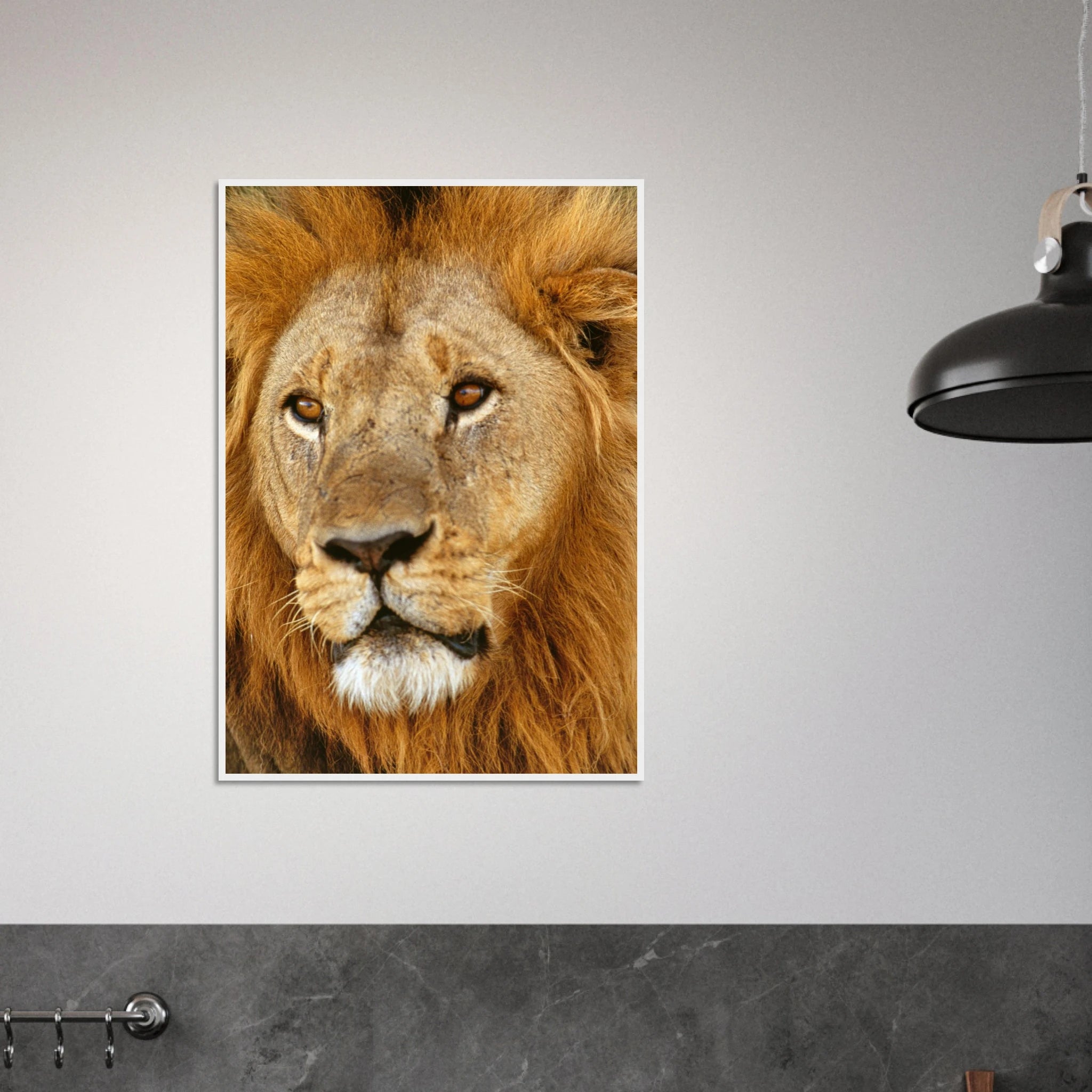 b626f3b5-f7f5-4ee1-8e1c-1afe2e815a47