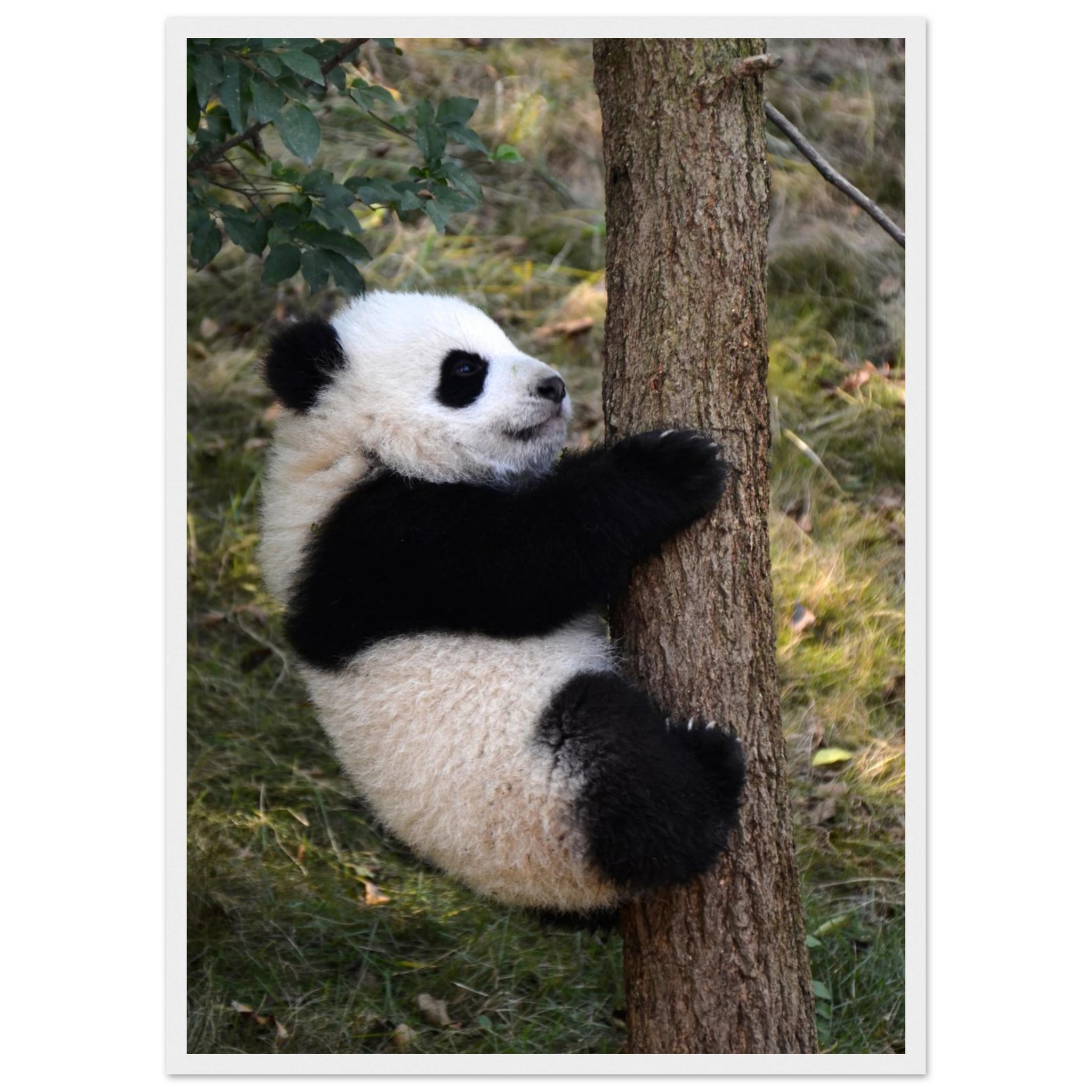 b62f6ccd-e3ae-4794-9da6-e80650964ea1