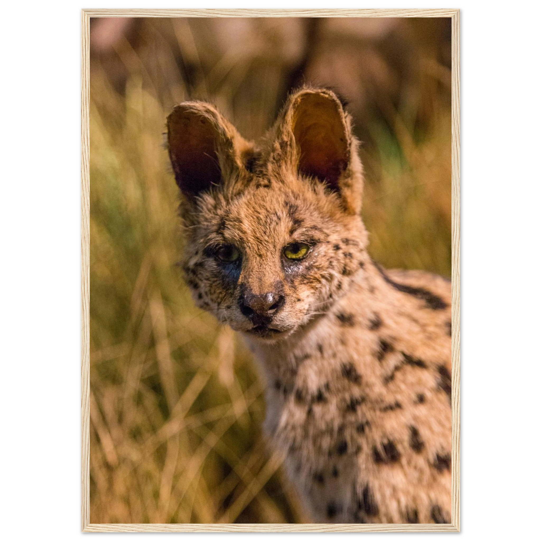 b639fc54-d61f-4c8c-9860-df4254229747