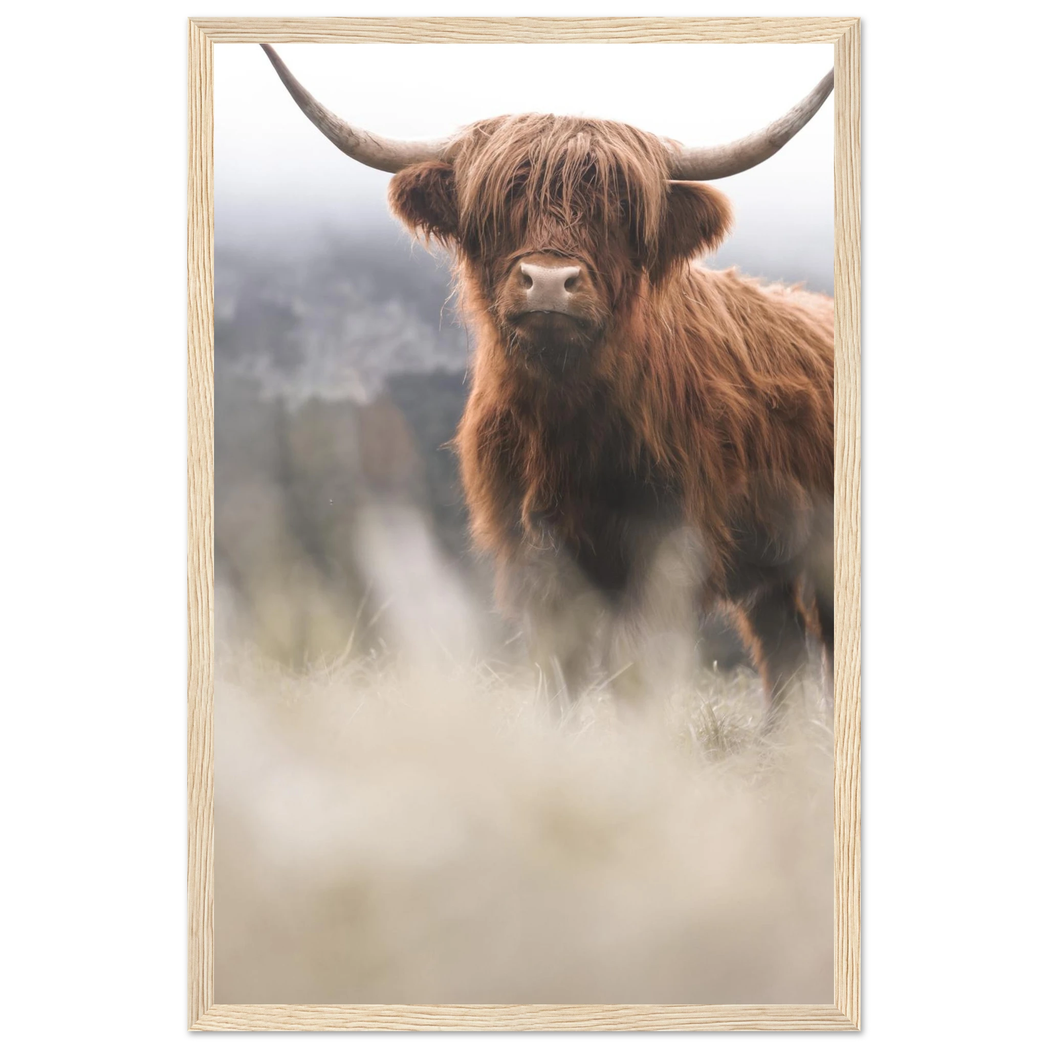 b64ac3df-808d-46ce-9c63-7e495a7f073a