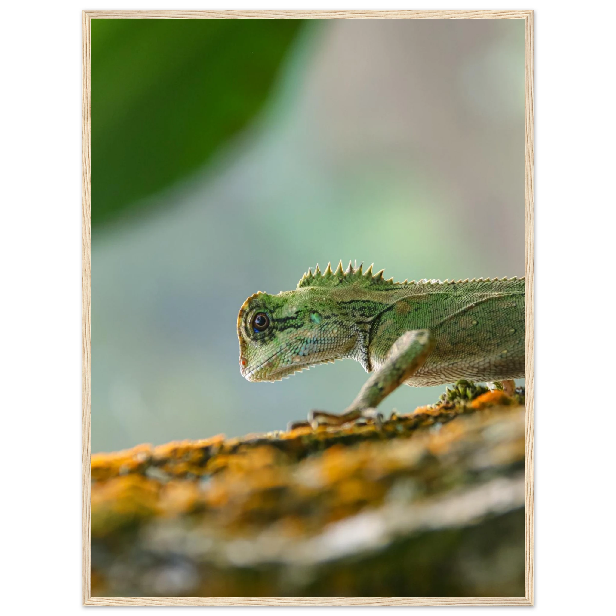 b64f5e82-662b-4772-950a-a677f65ca0ae