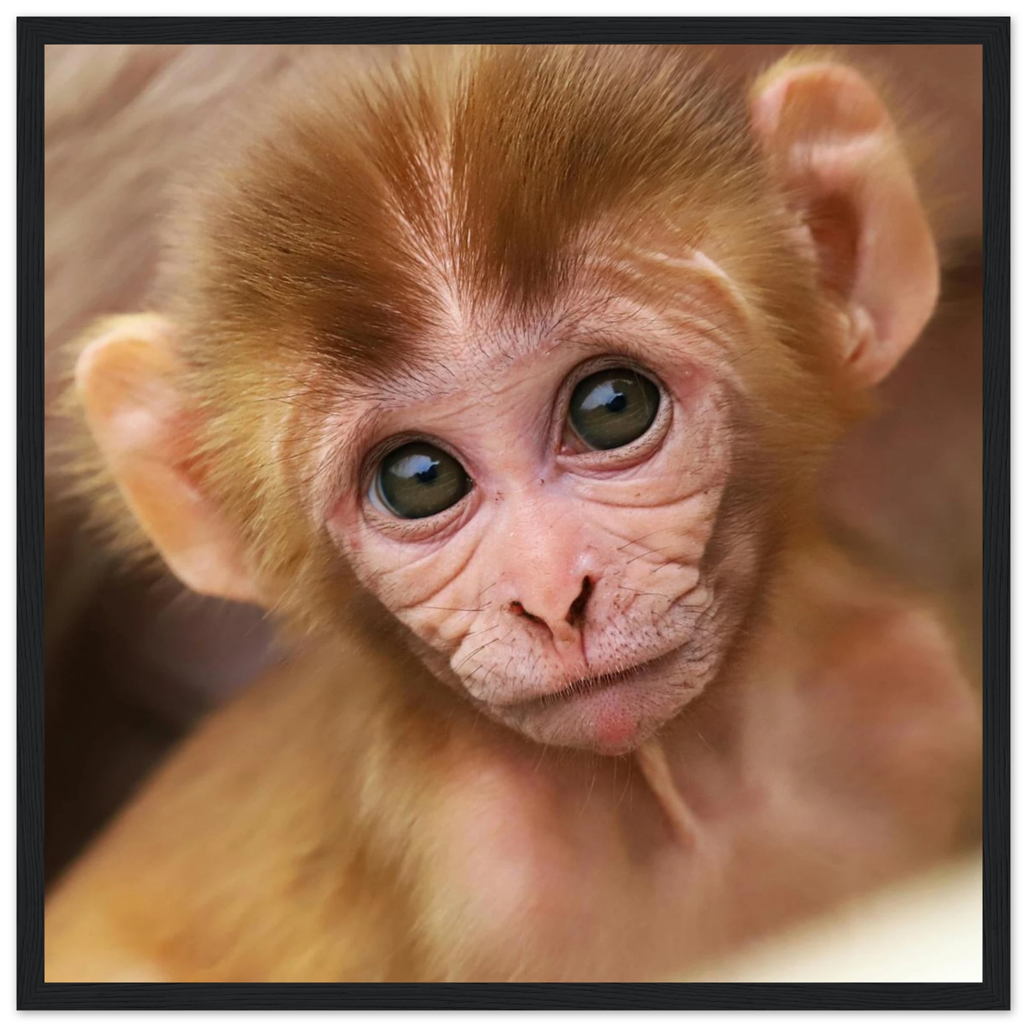 b664e31b-ec15-4bbf-97ce-6346251bcb1e