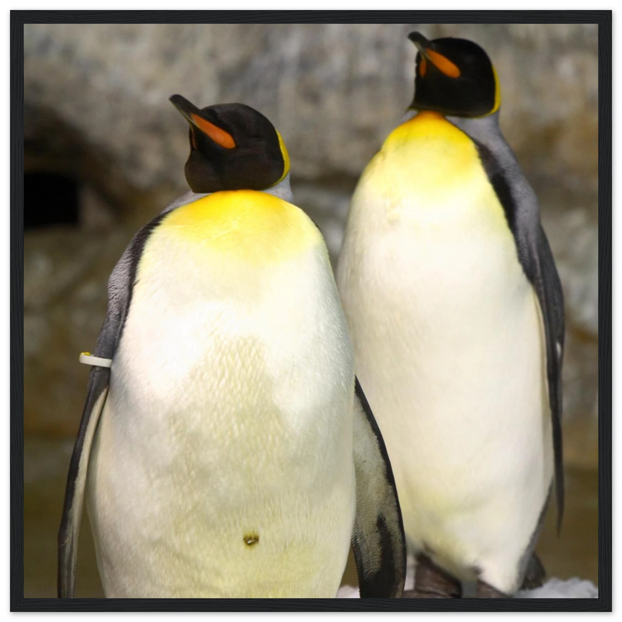 b67fbb3c-392a-4dc4-b9e2-34473e34d8c0