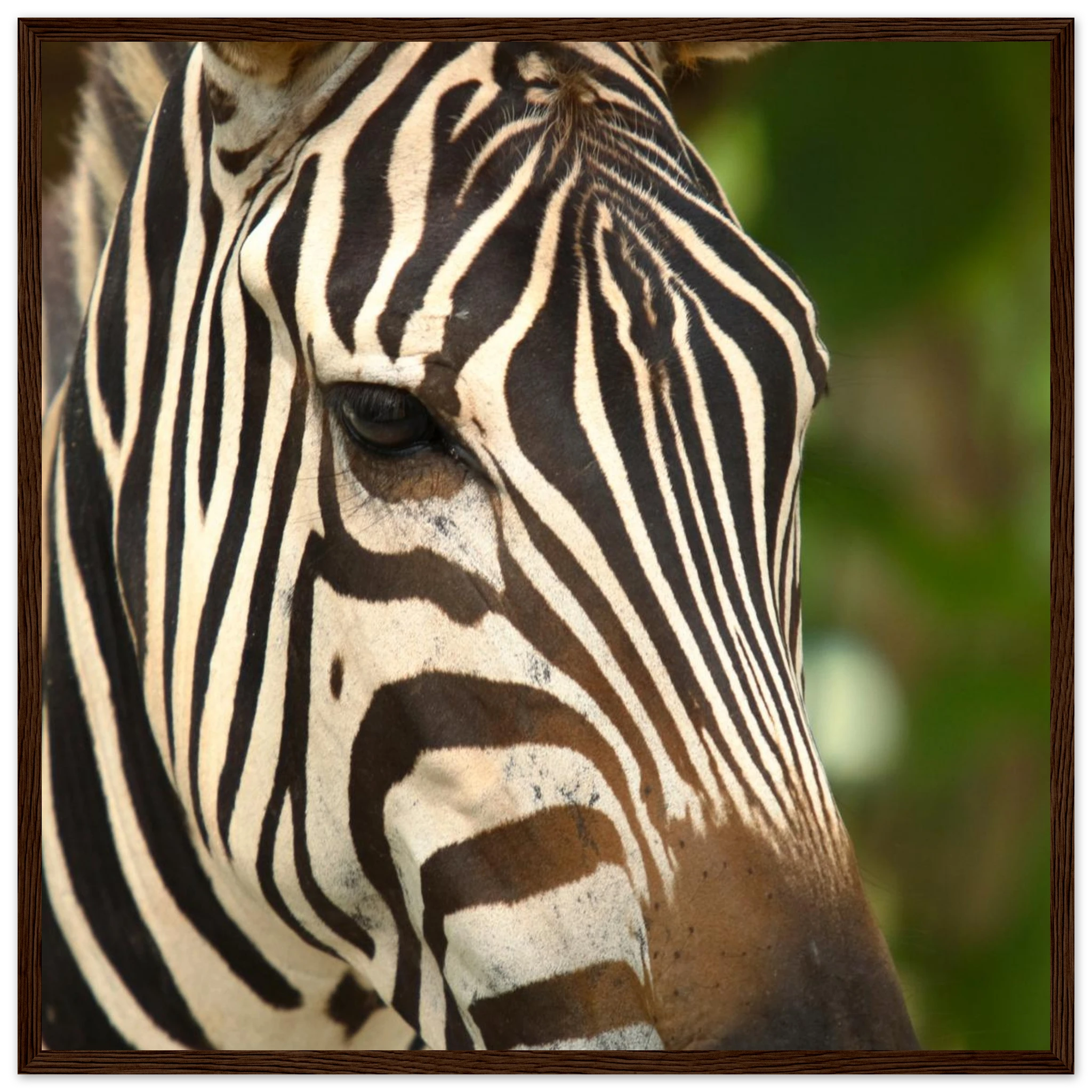 b691e34e-1b9e-49f6-a4fe-88ad2e269479