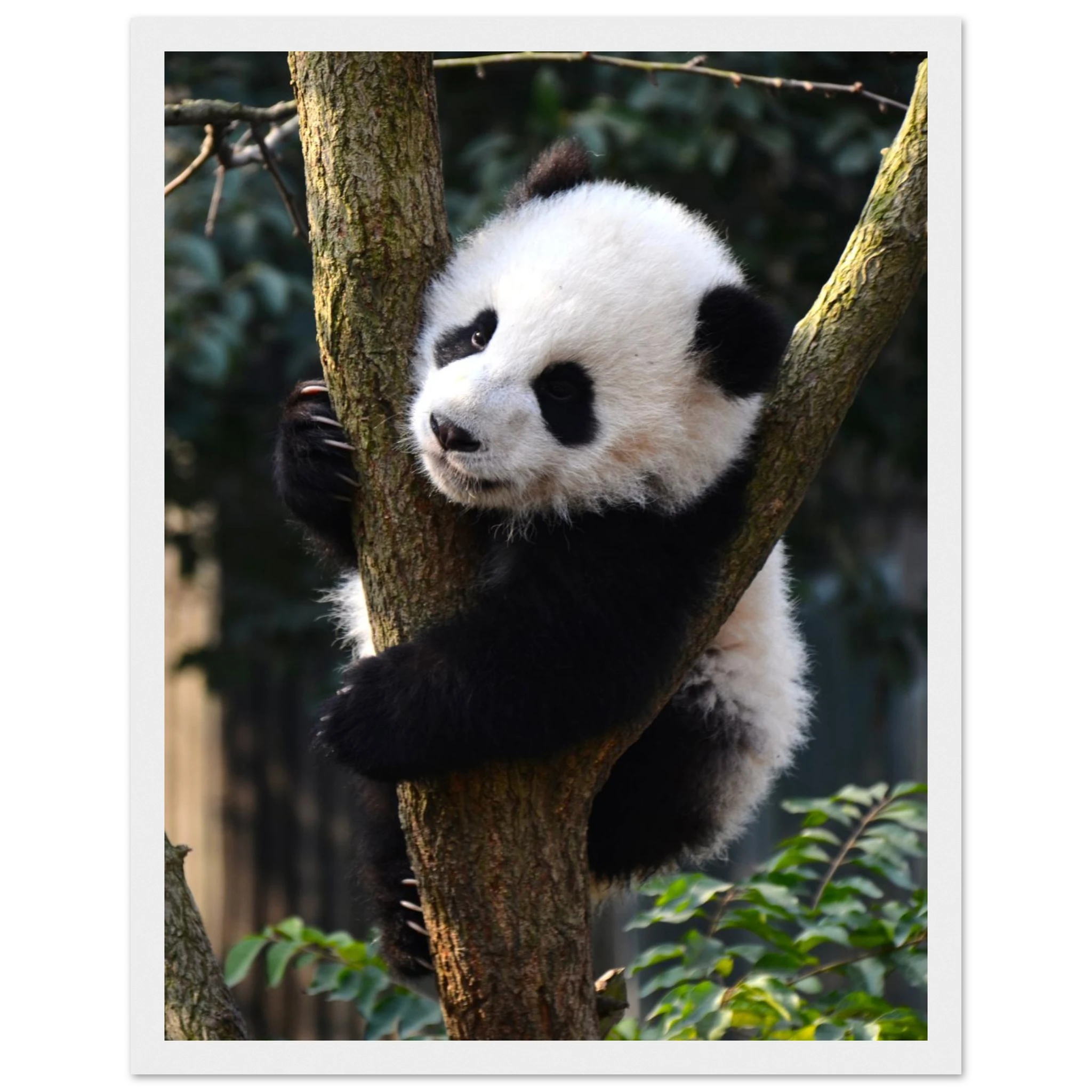 b6b5a129-7377-430d-979e-eeee9150c246