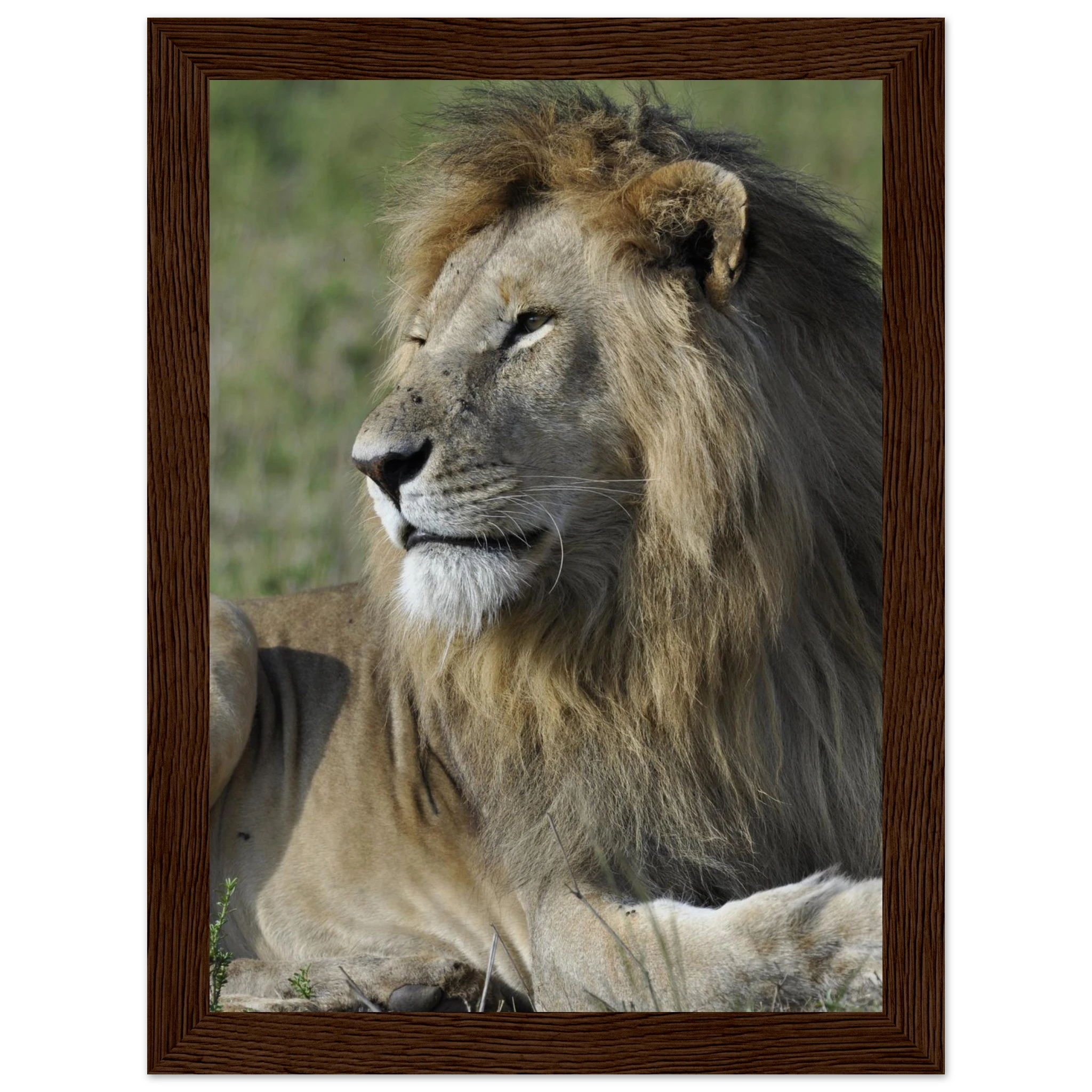 b6ba75b6-5015-4c8b-909d-ac01cb06845a