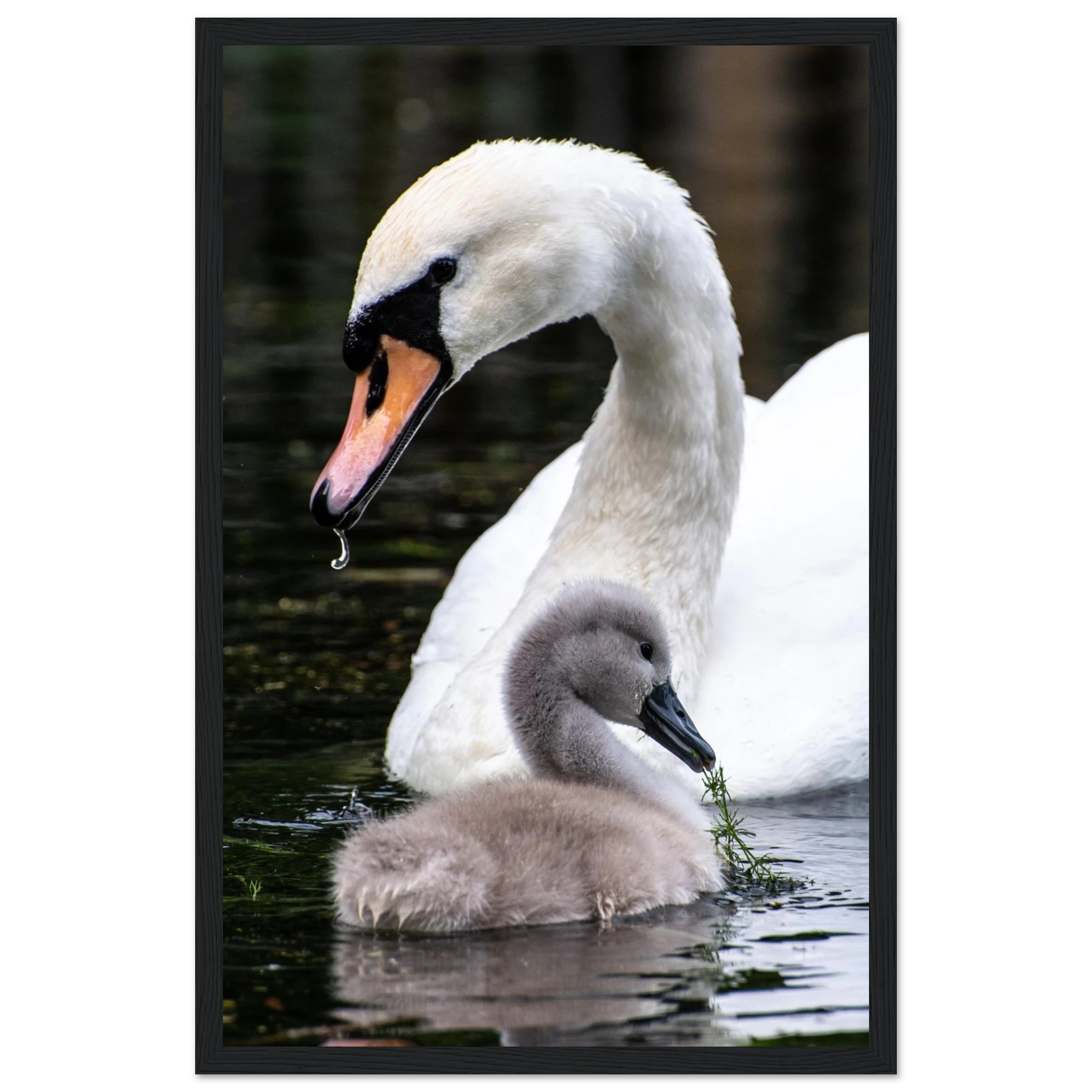 b6bea559-e997-4781-b3d8-7c668d29f30a