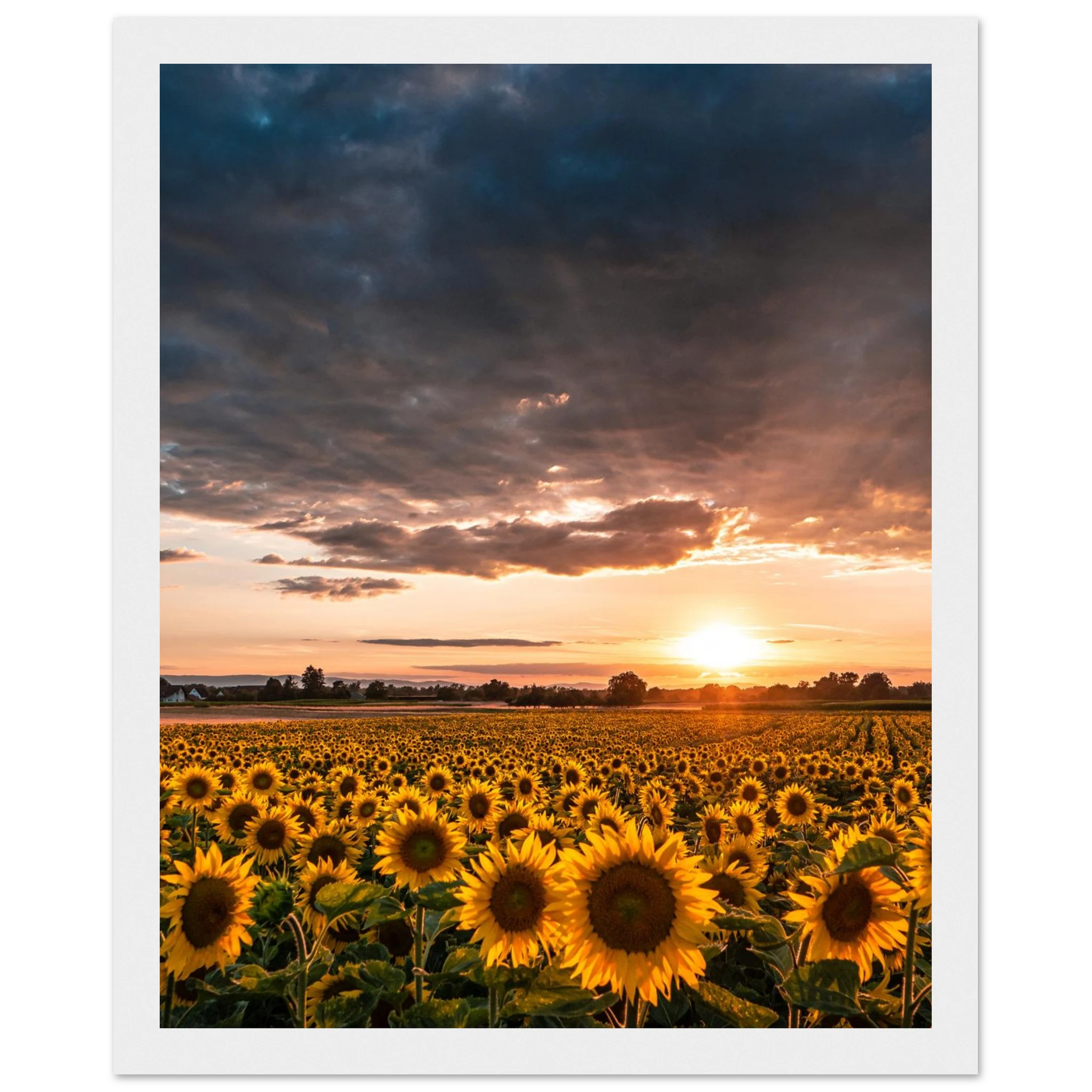 b6bf60ab-c0d4-4f4b-ac79-8e9fc6fed4e1