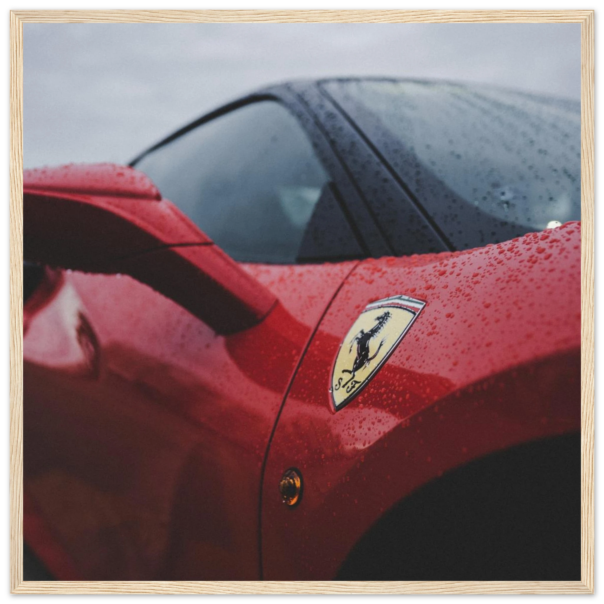 b6ca1c31-0497-4fa1-b35a-1d6c589e0208