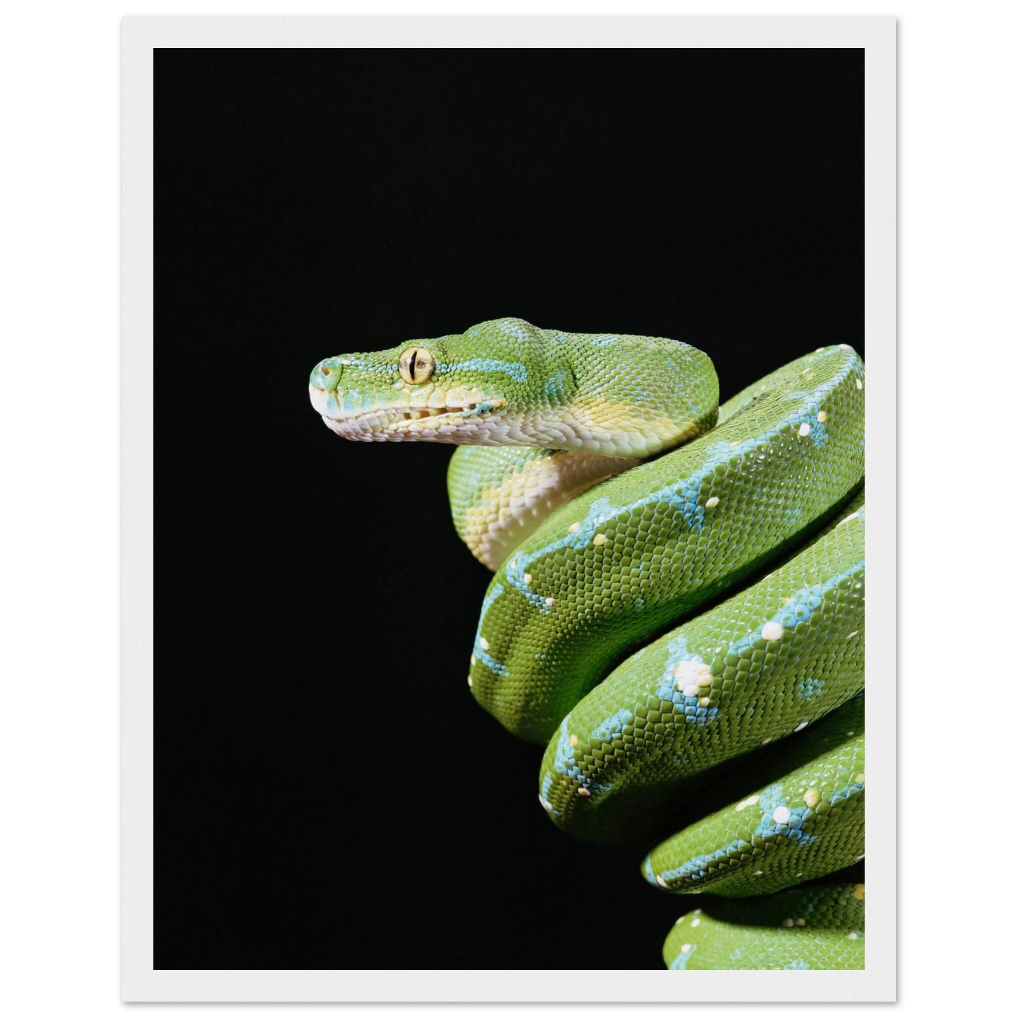 b6e5261c-4f4f-41f9-b472-315fca3ee4ea