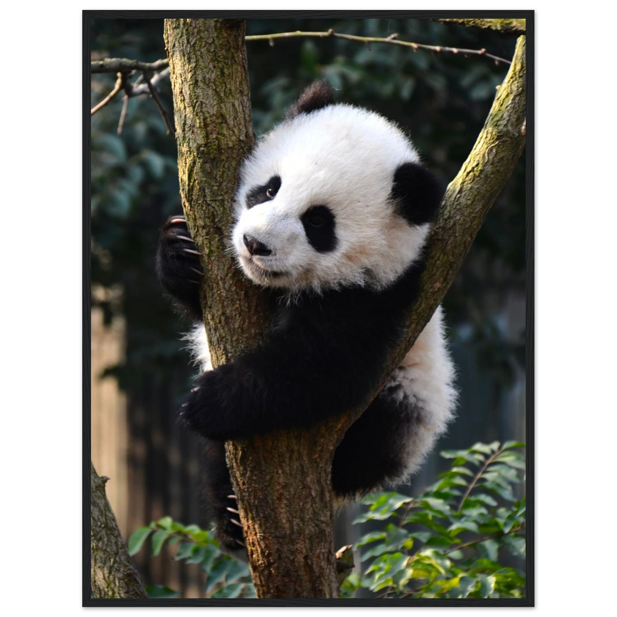 b6e83203-a5b7-400c-8e79-2c8f1c6d5244