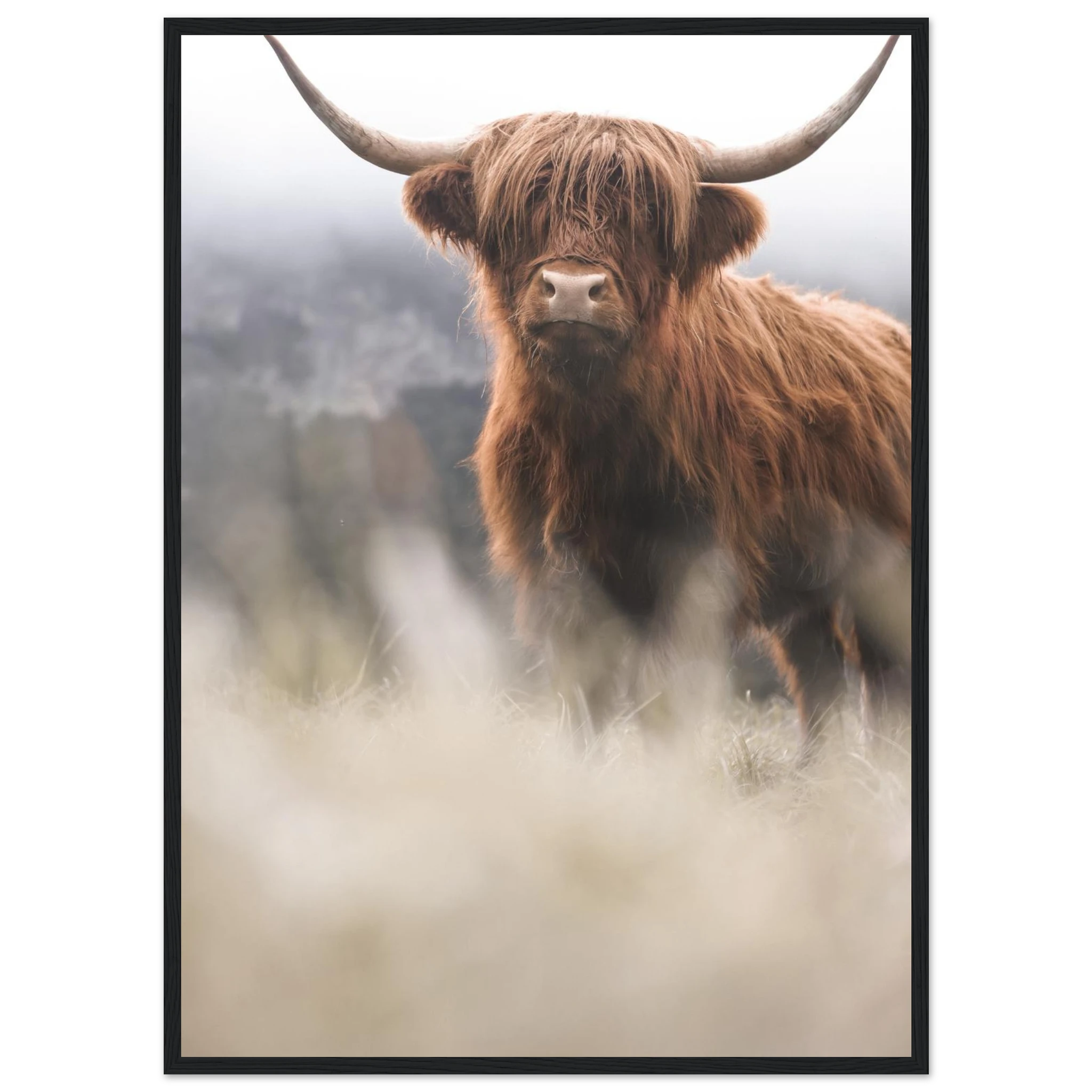 b7120e44-48a9-49f3-9fda-729c8ad7b34c